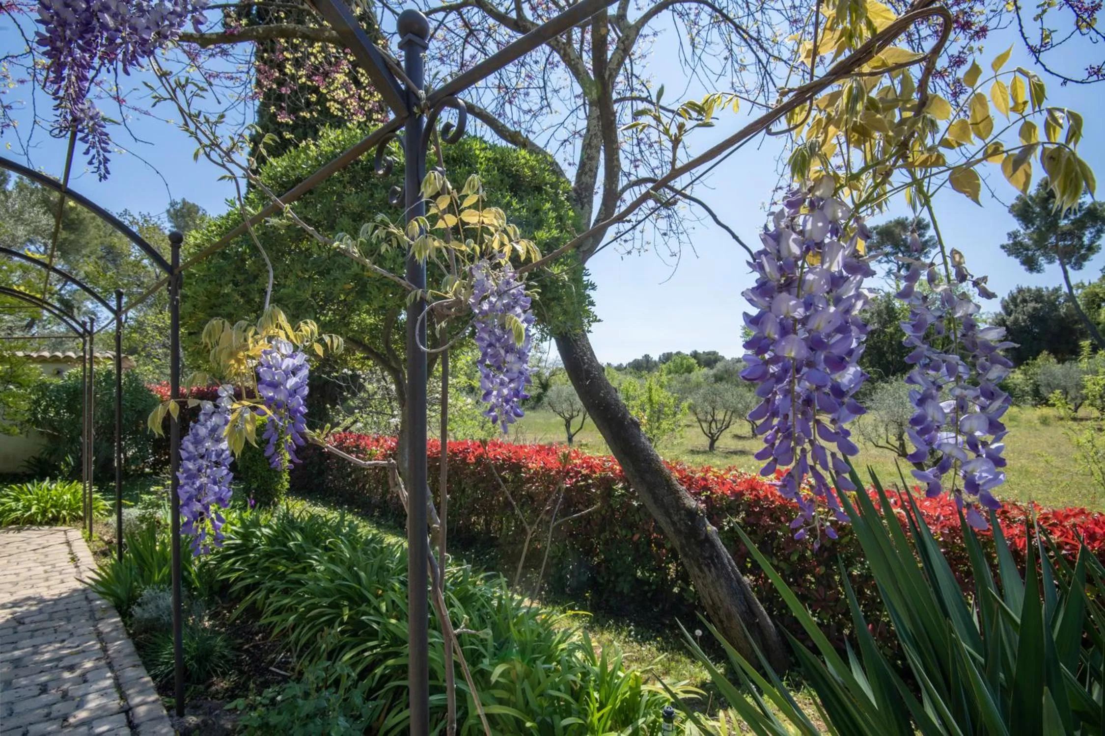 Garden in Hotel Les Messugues