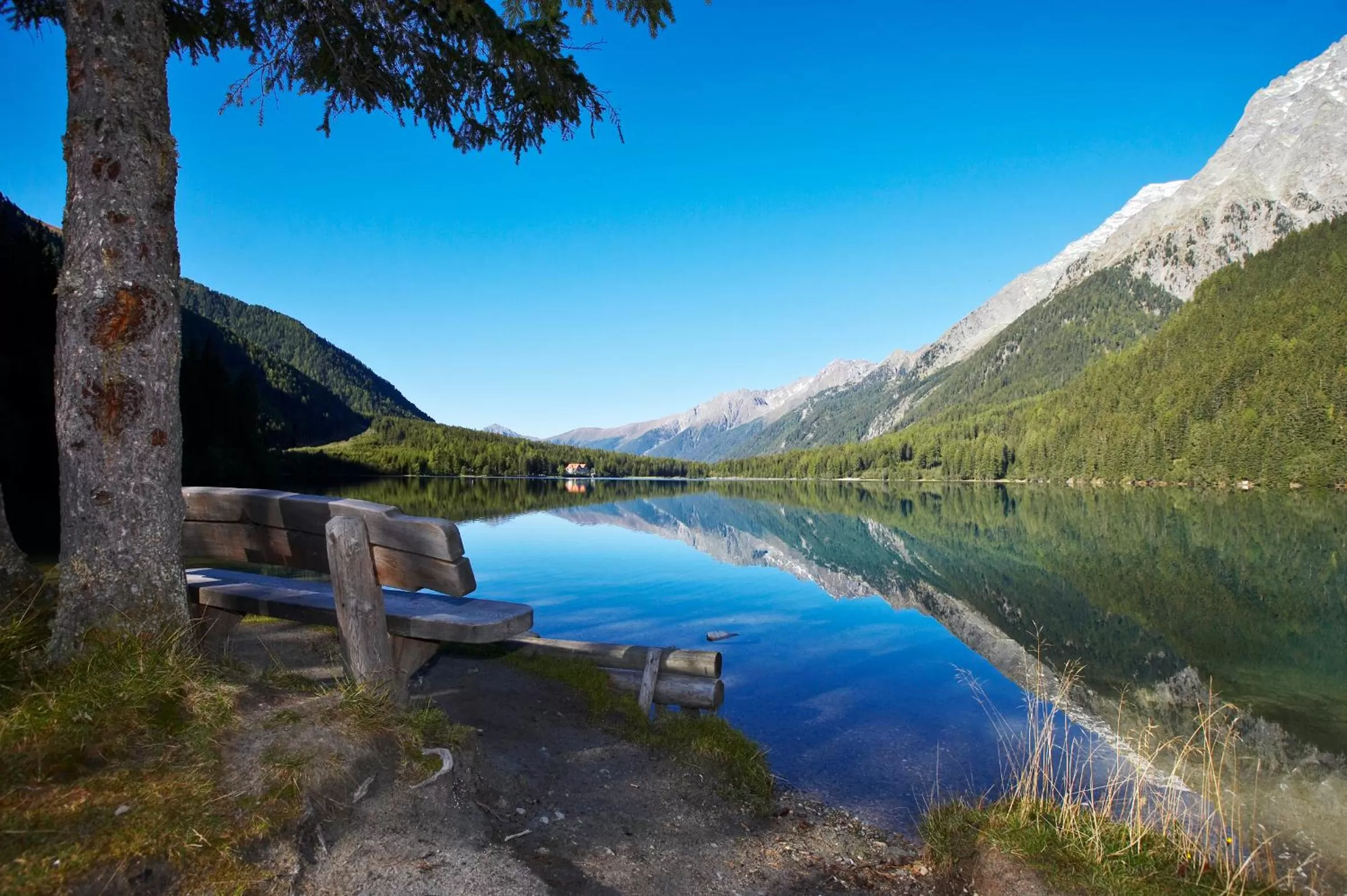 Natural landscape in Falkensteiner Hotel Antholz - Adults only