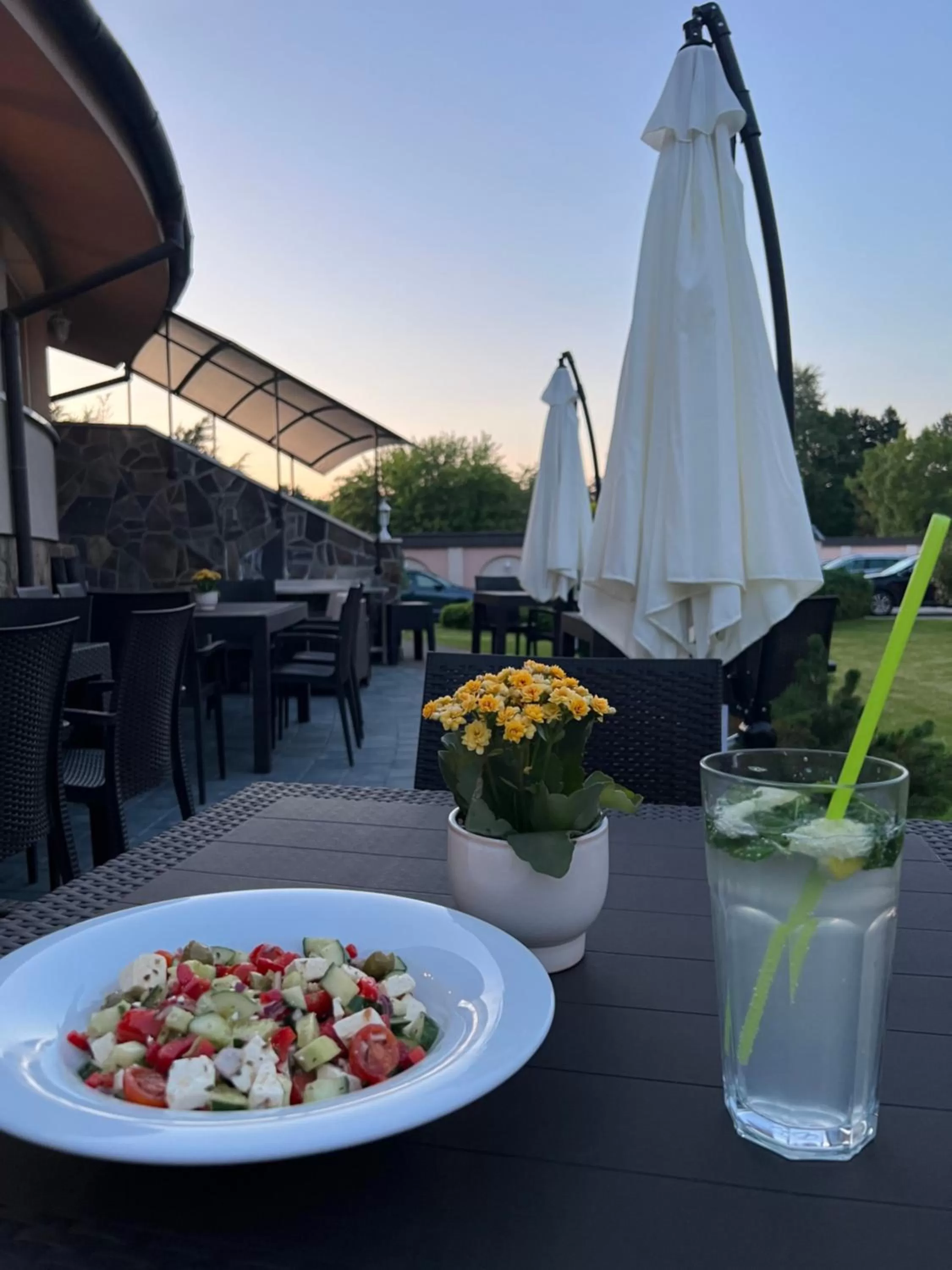 Restaurant/places to eat in Hotel Orchidea Spa & Wellness