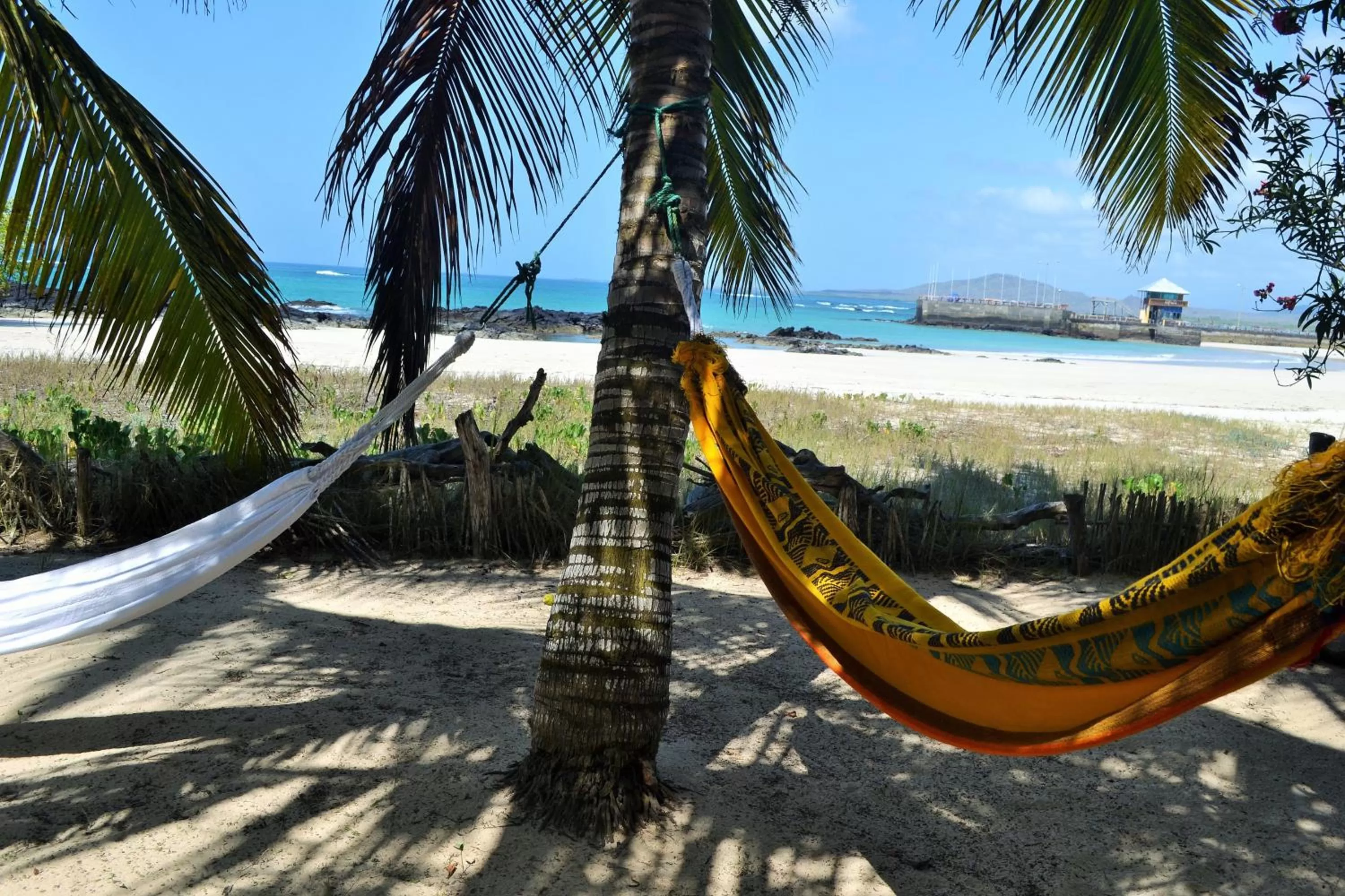 Day in The Isabela Beach House