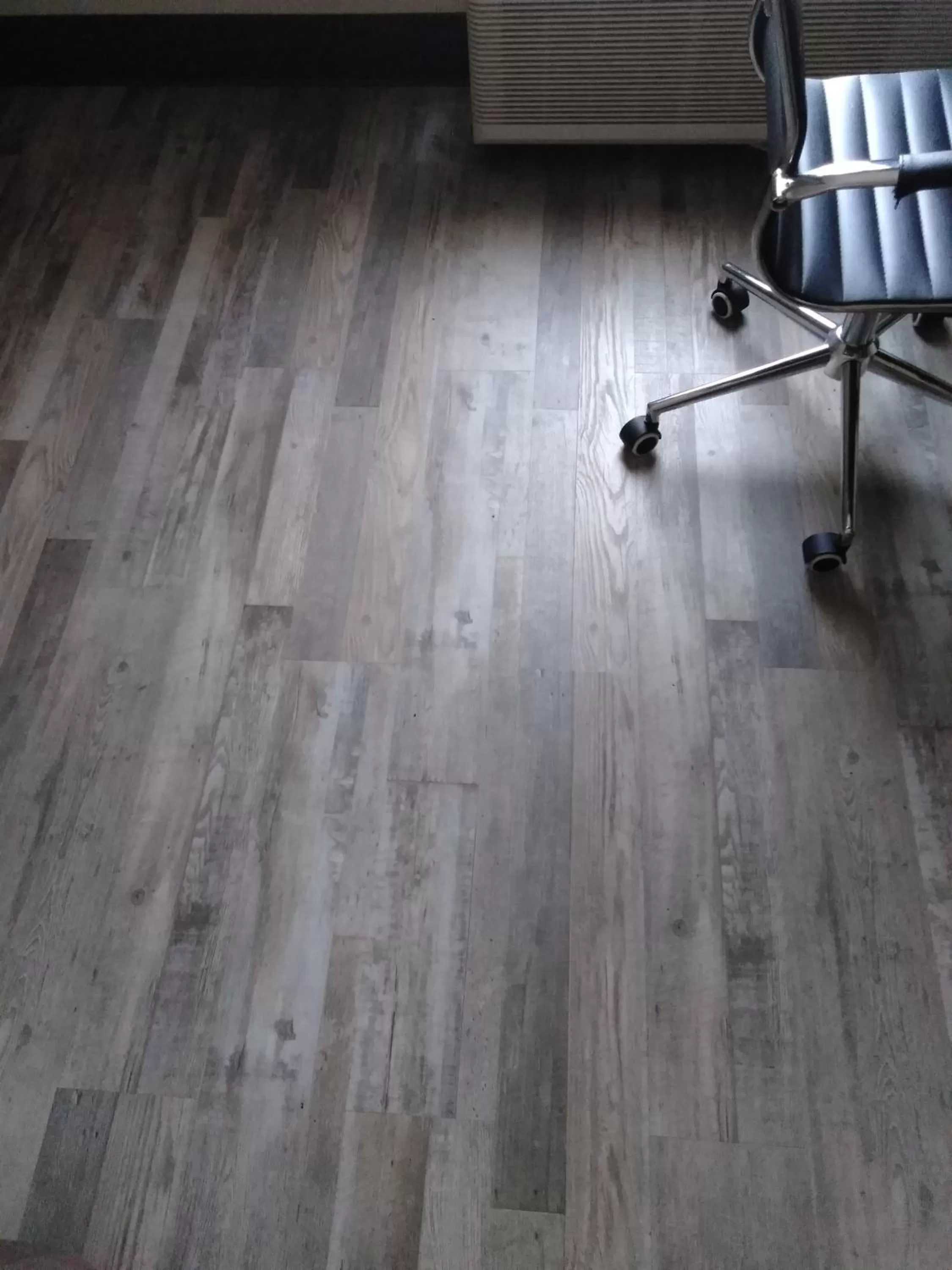 Pets in Quality Inn & Suites Mount Vernon