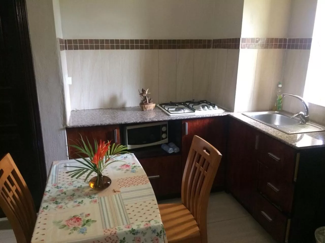 Kitchen or kitchenette in Villa Narmada