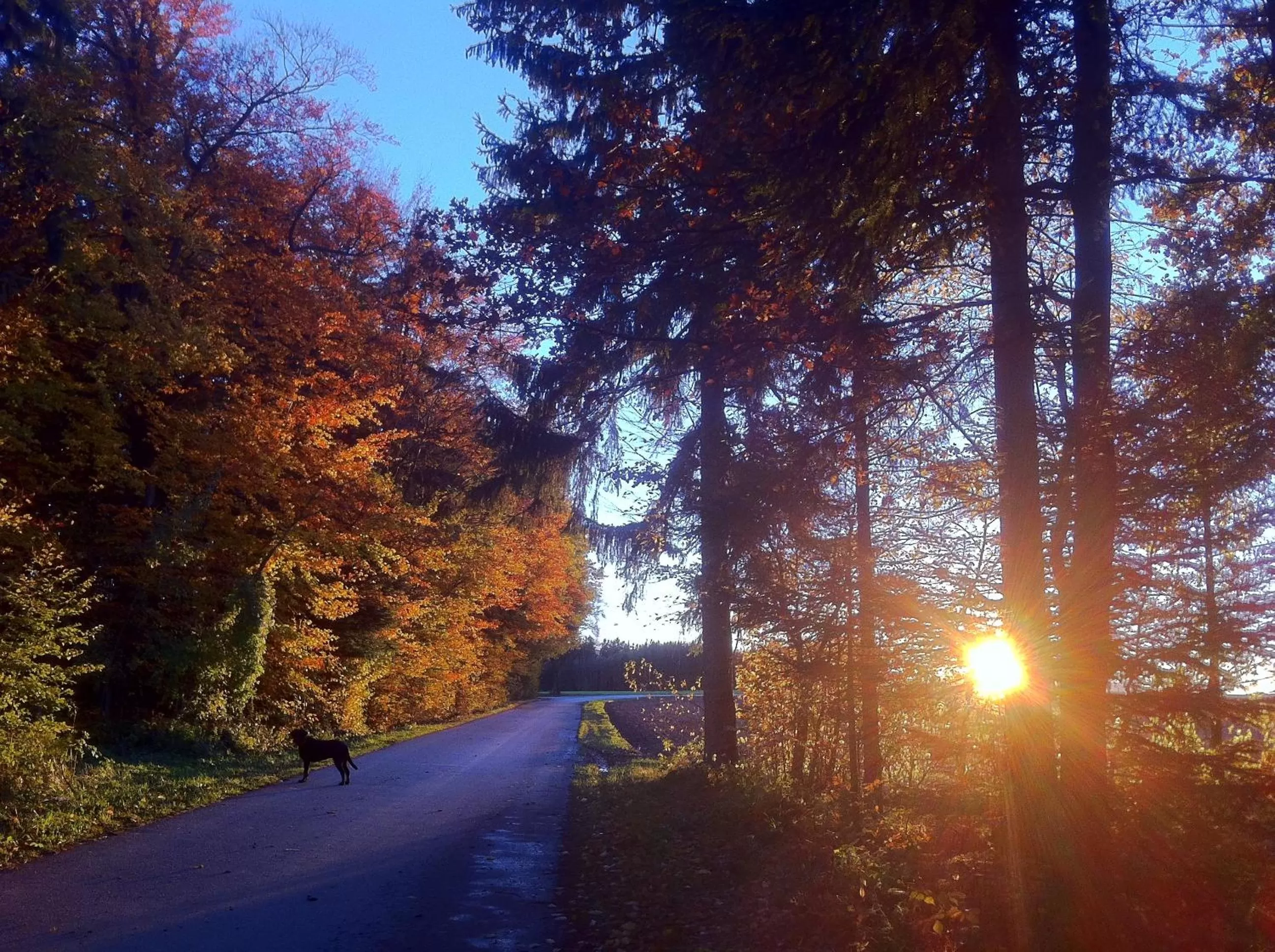 Hiking, Sunrise/Sunset in Gasthof Teufl