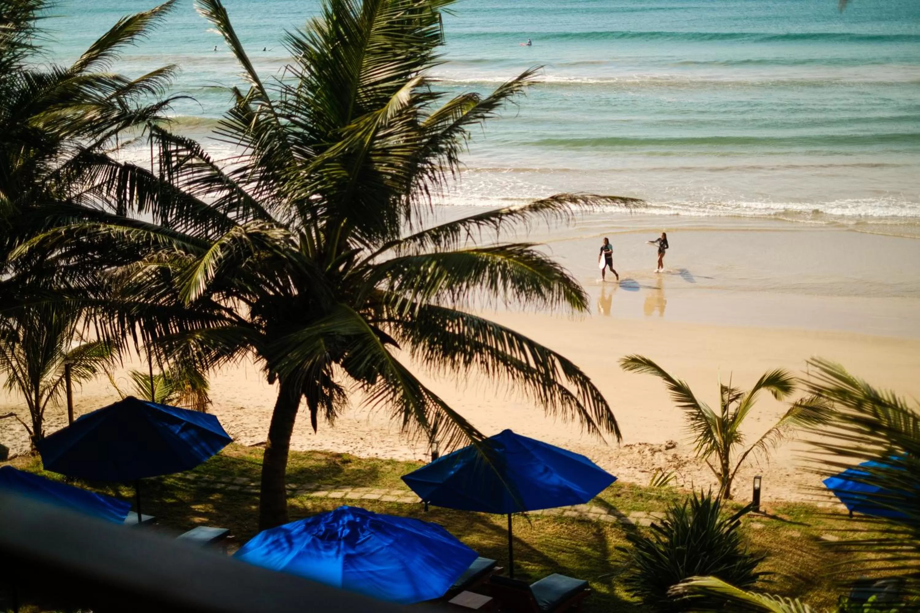 Beach in The Seascape