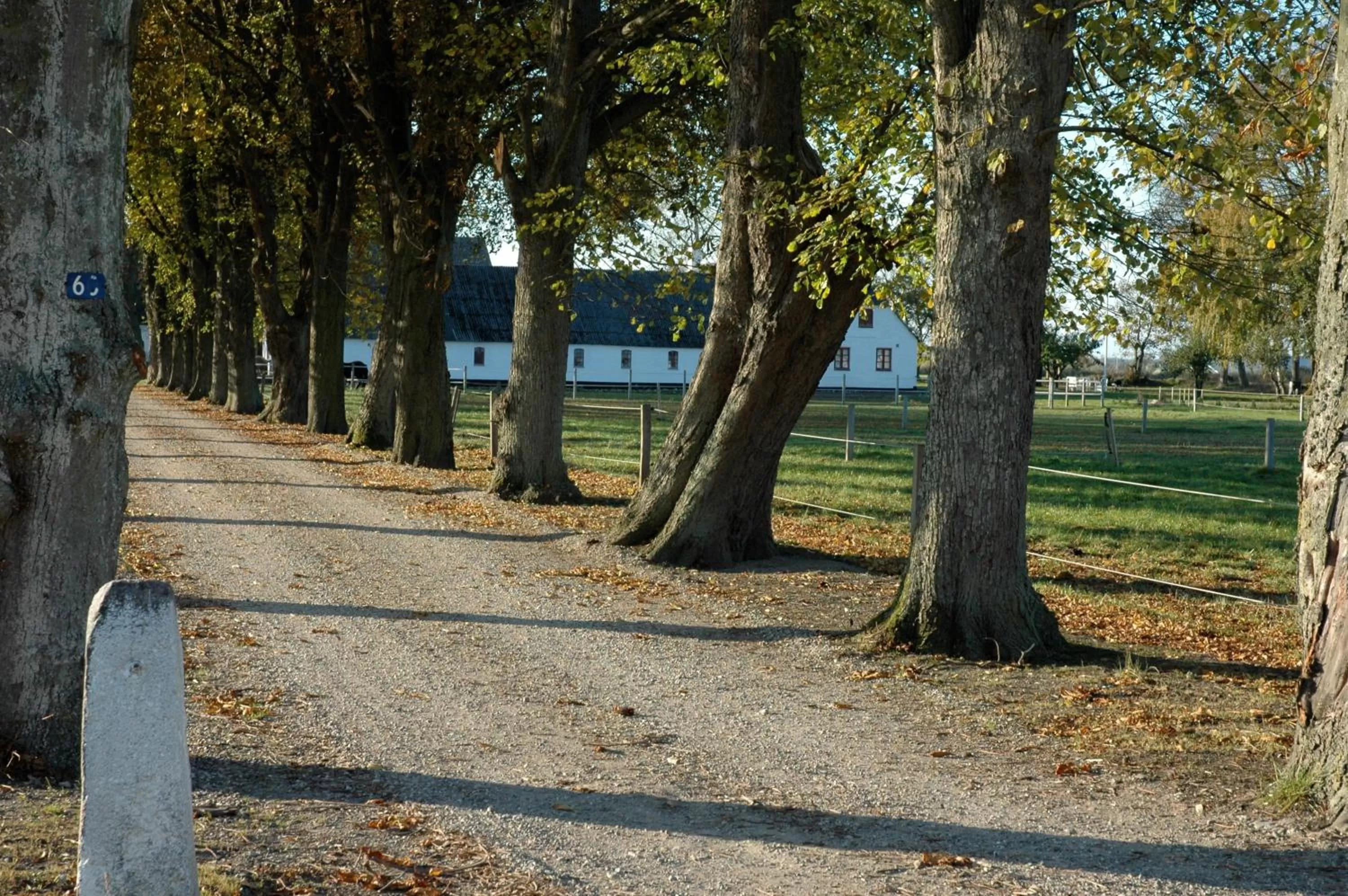 Decorative detail in Åløkke BnB