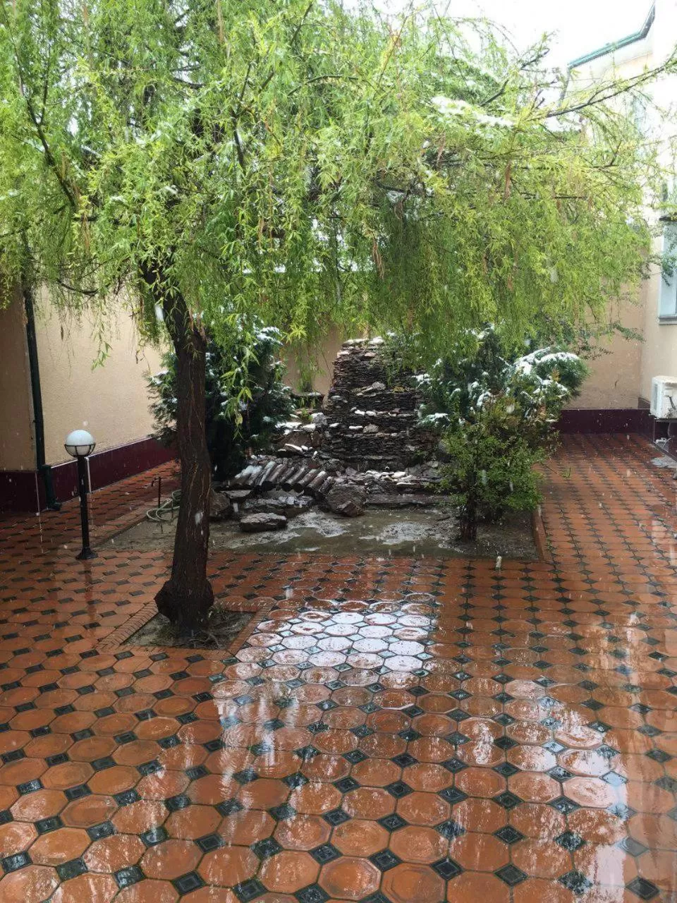 Spring in Comfort Hotel