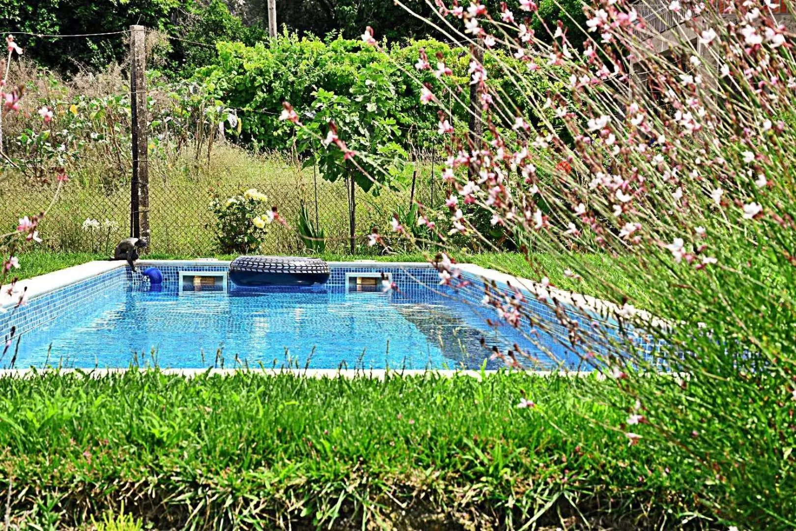 Swimming Pool in B&B Villa Branca Barreiros AL98139