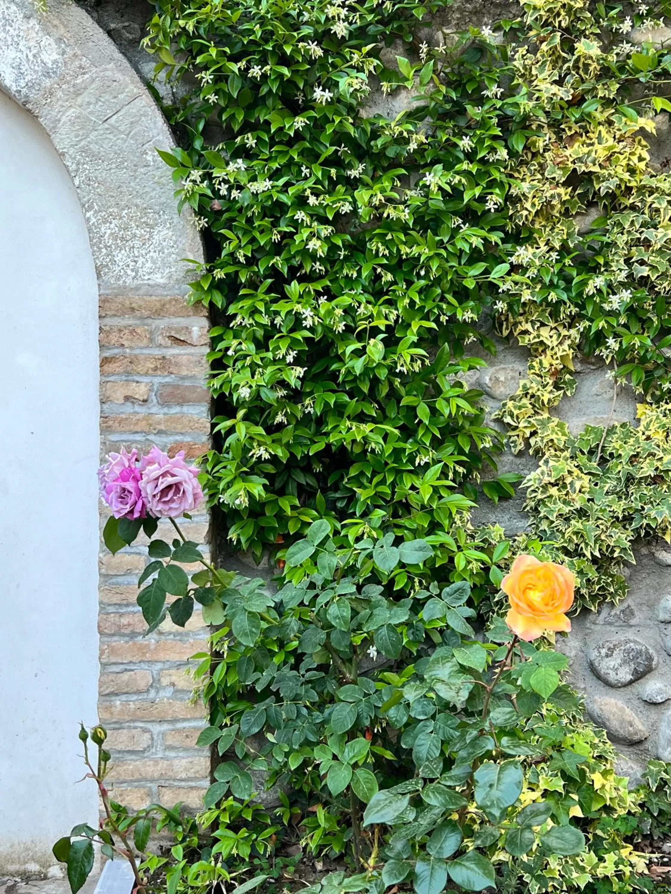 Spring in Hotel TREVA