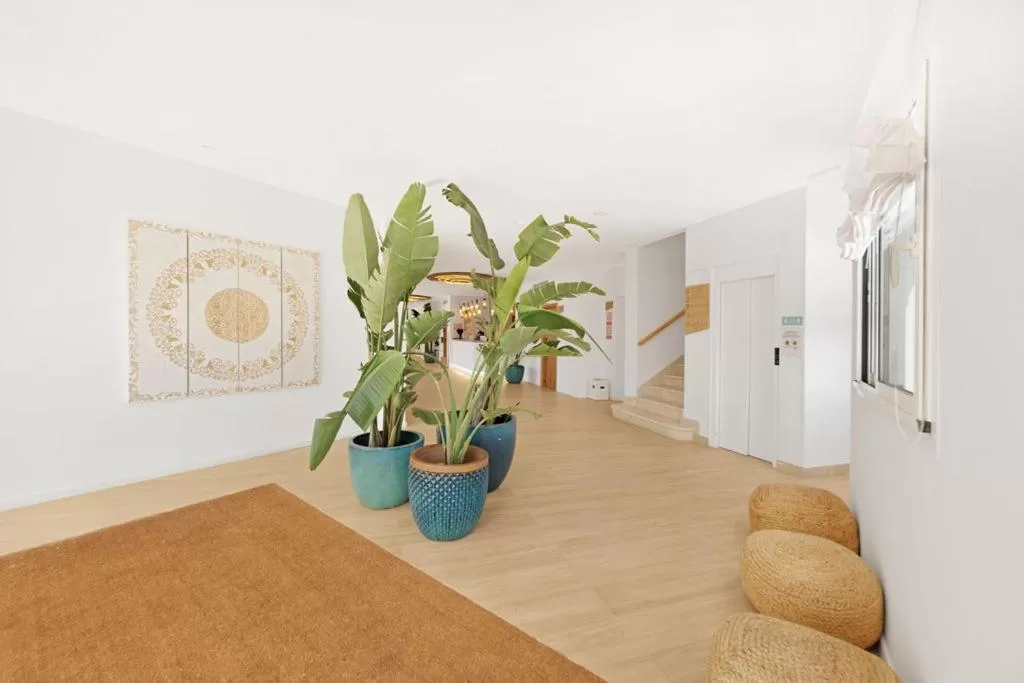 Lobby or reception in Hotel Villa Chiquita - Adults Only - Over 12