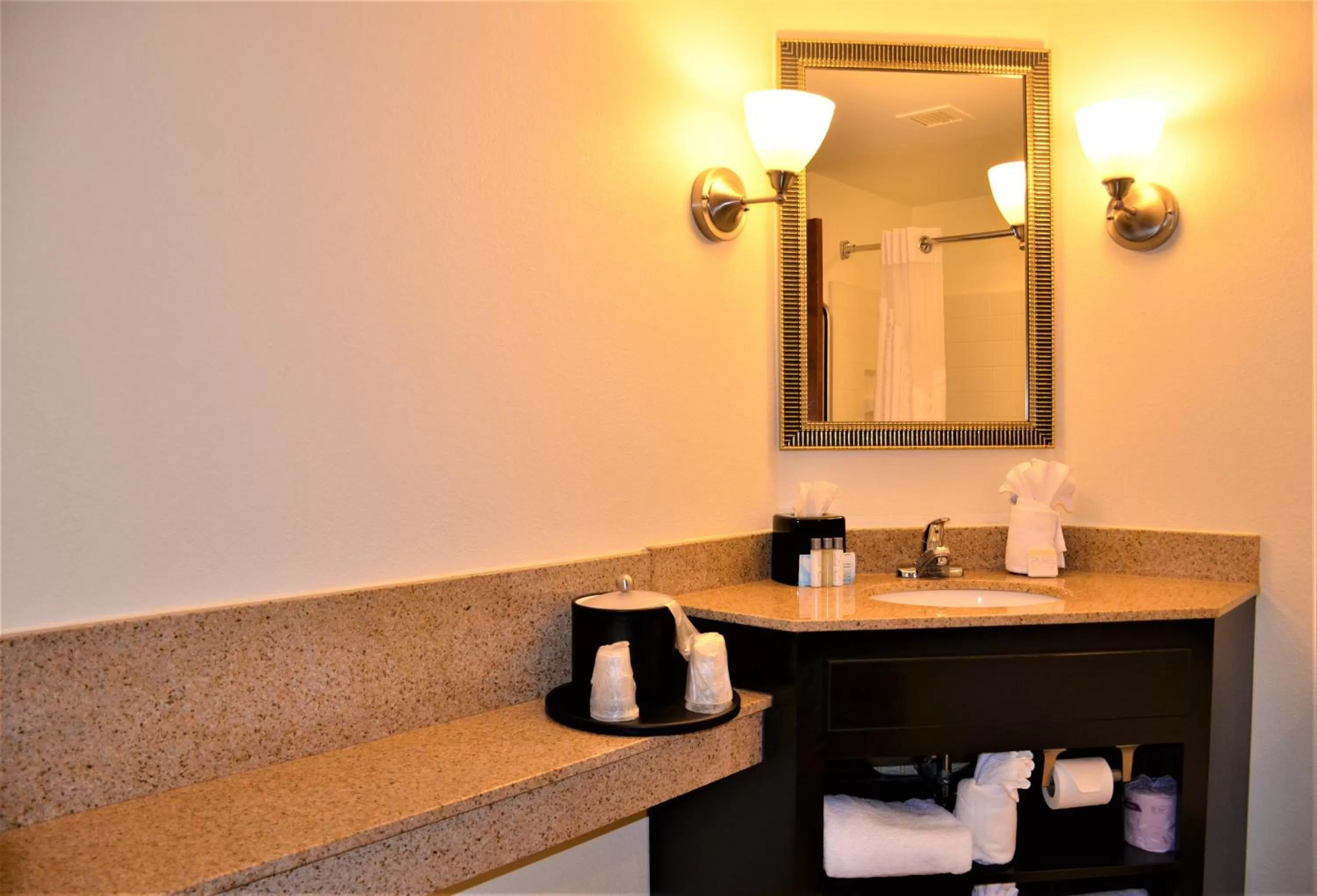 Bathroom in Burrstone Inn, an Ascend Collection Hotel