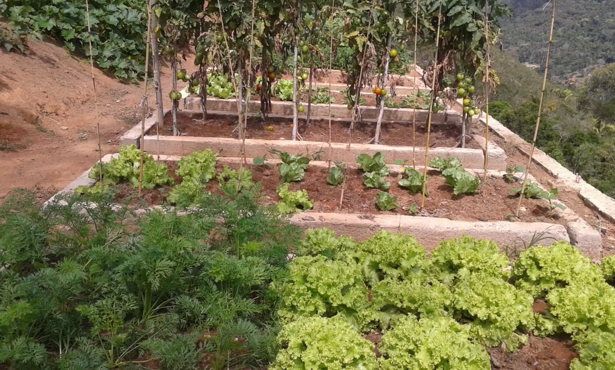 Food in Pousada R.N.C. Nosso Paraíso