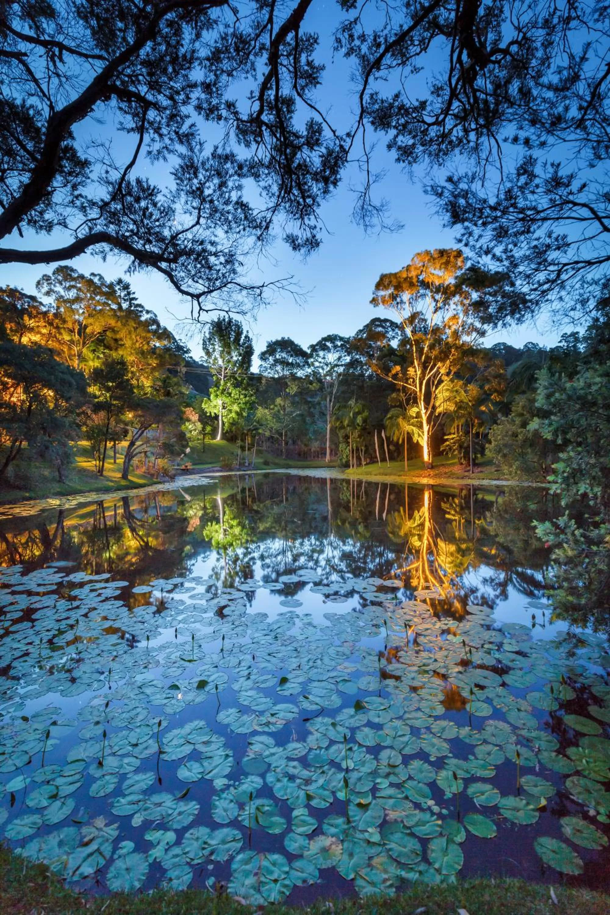 Lake view in Sensom Luxury Boutique Bed and Breakfast