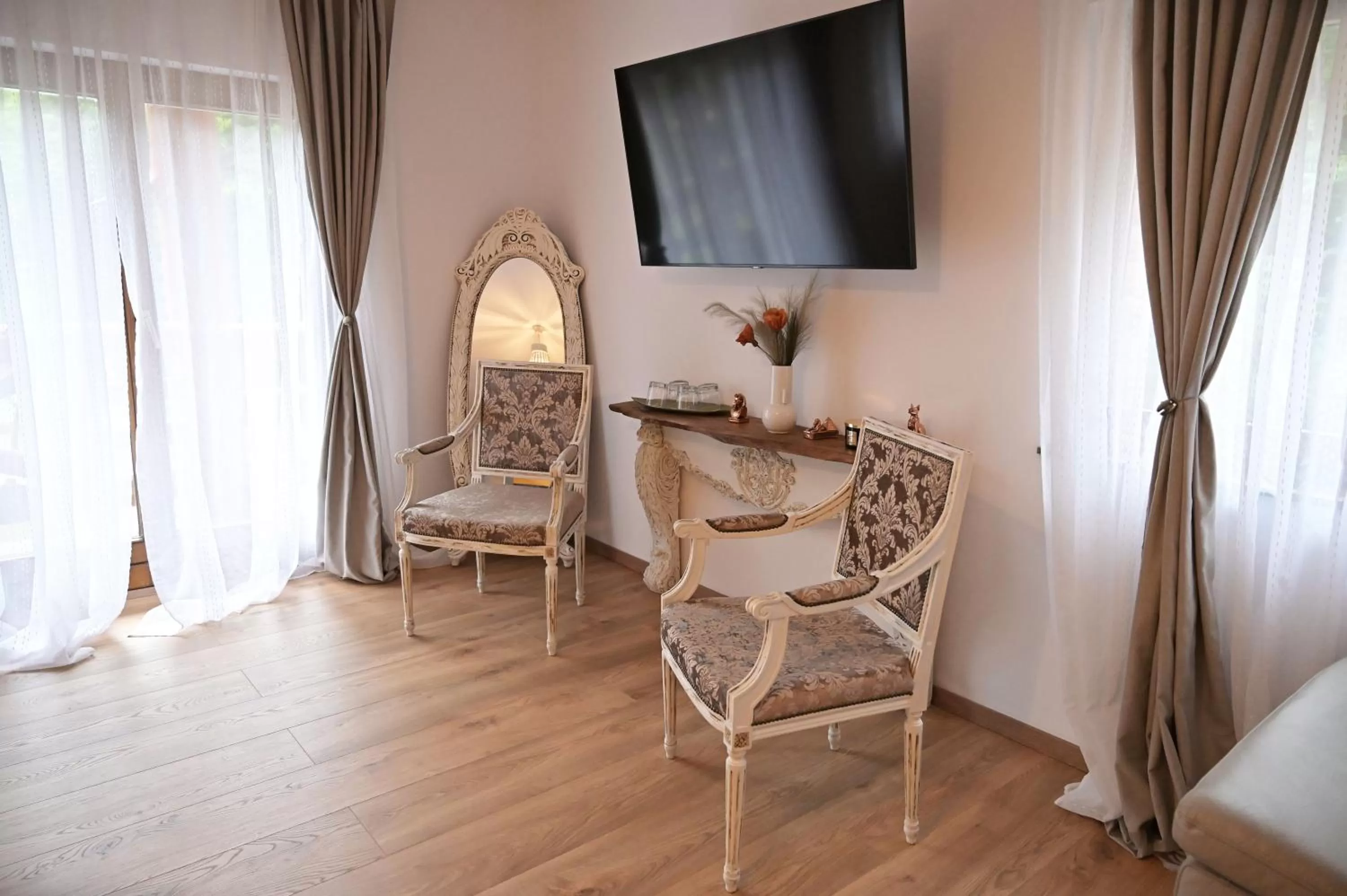 TV and multimedia in Conacul Radacinilor