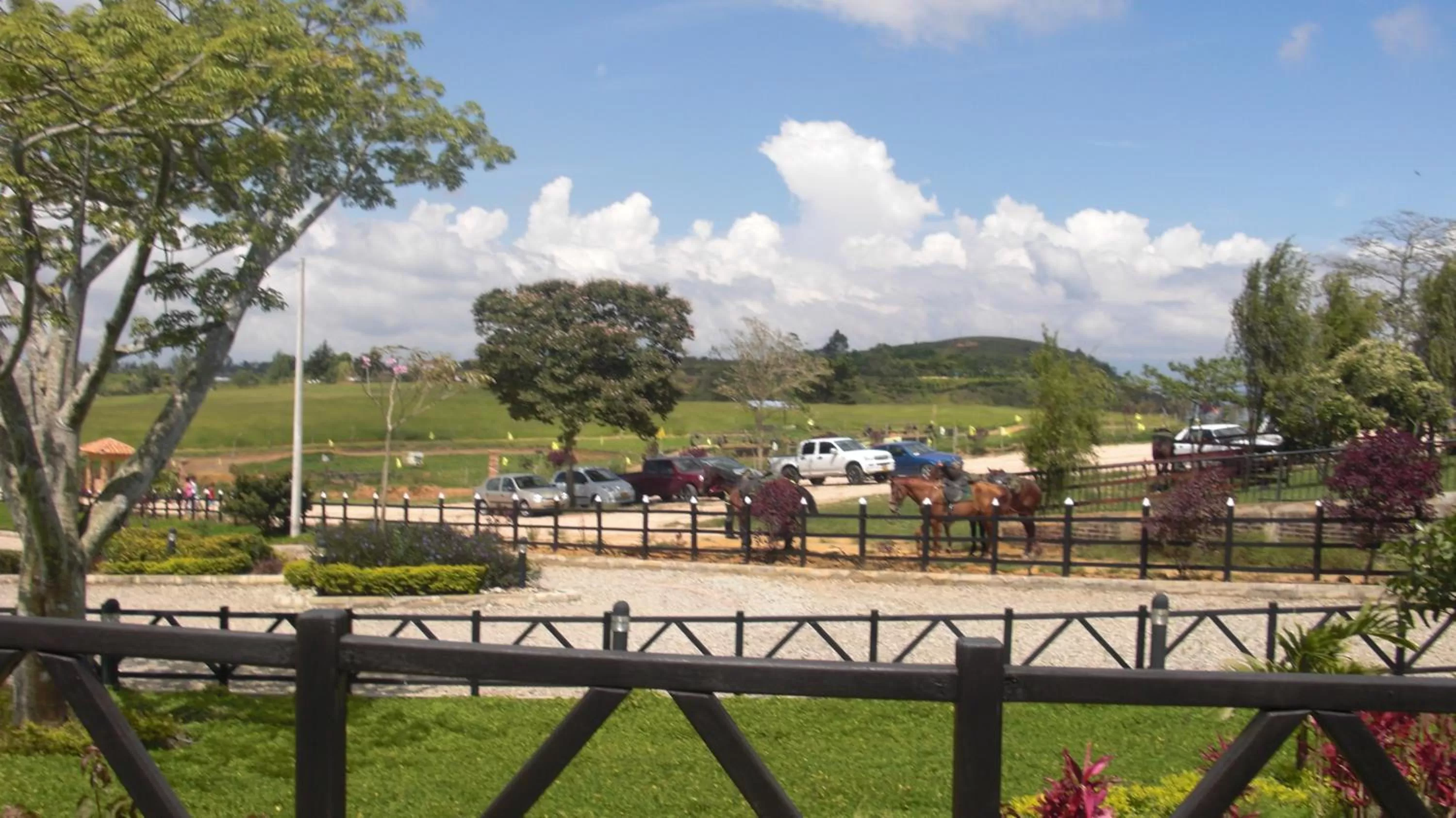 Activities in Hotel Real Pólux