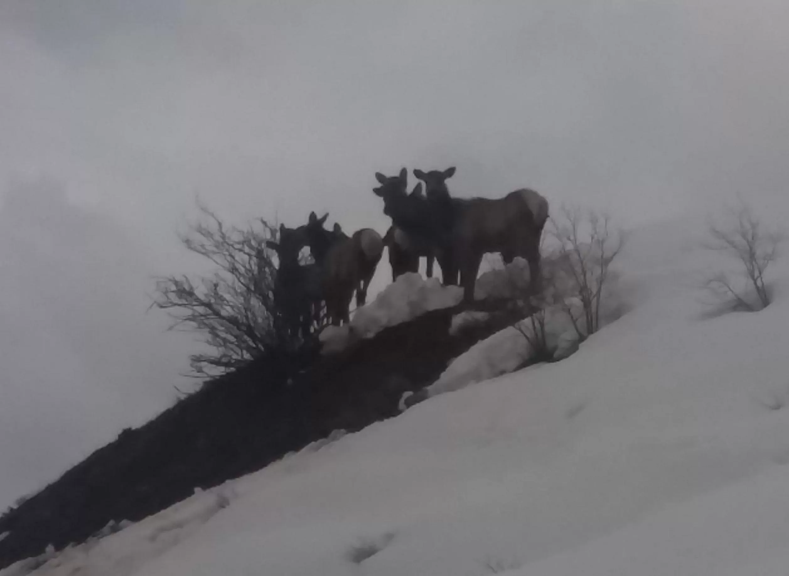 Winter in Chalet Val d'Isere