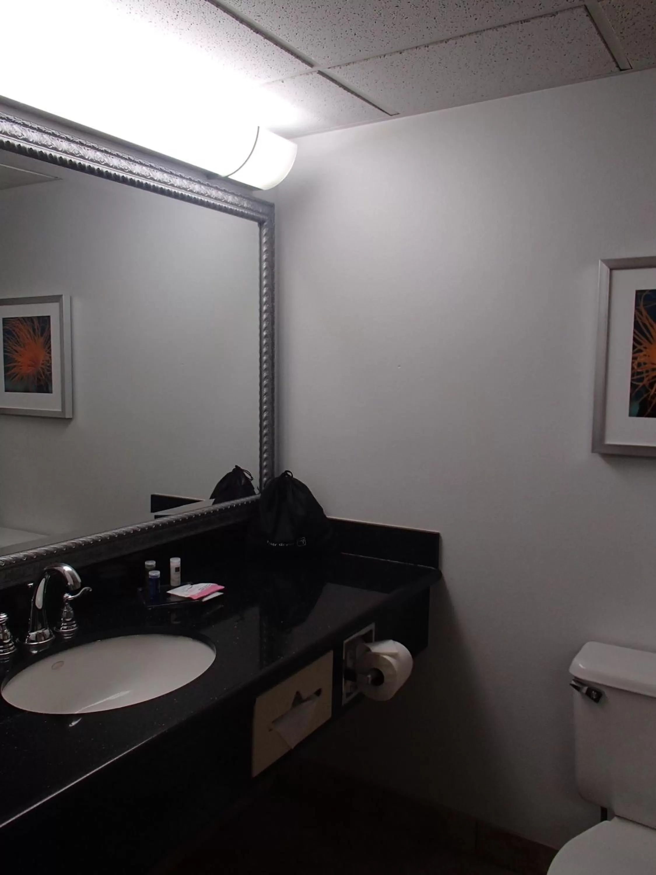 Bathroom in DoubleTree by Hilton Corpus Christi Beachfront