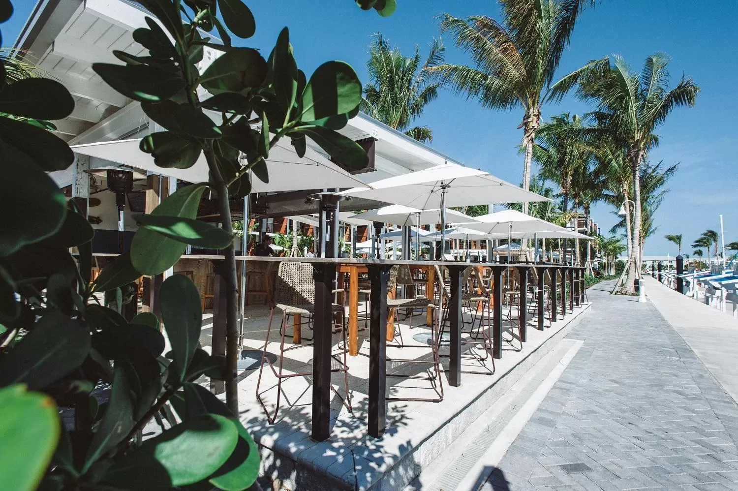 Restaurant/places to eat in The Perry Hotel & Marina Key West