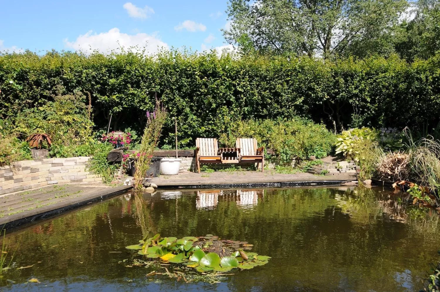 Garden in De Violier