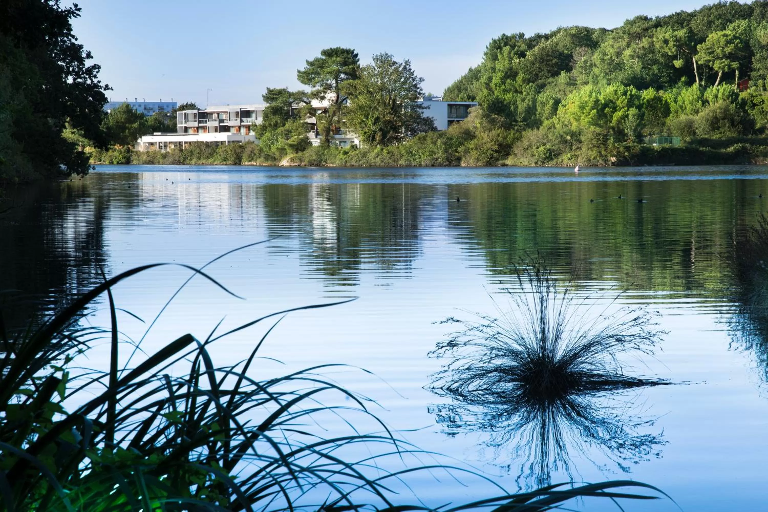 Day in Best Western Plus Hotel les Rives du Ter