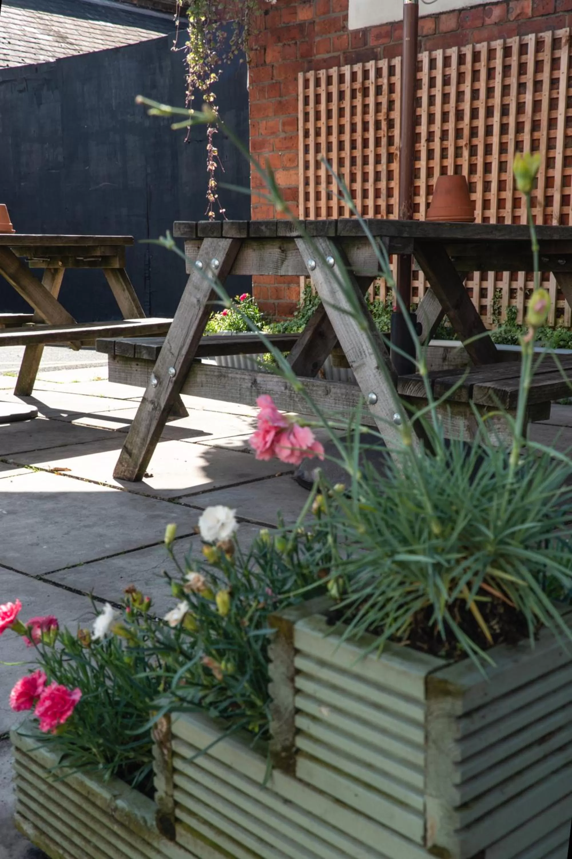 Spring in Plough Hotel