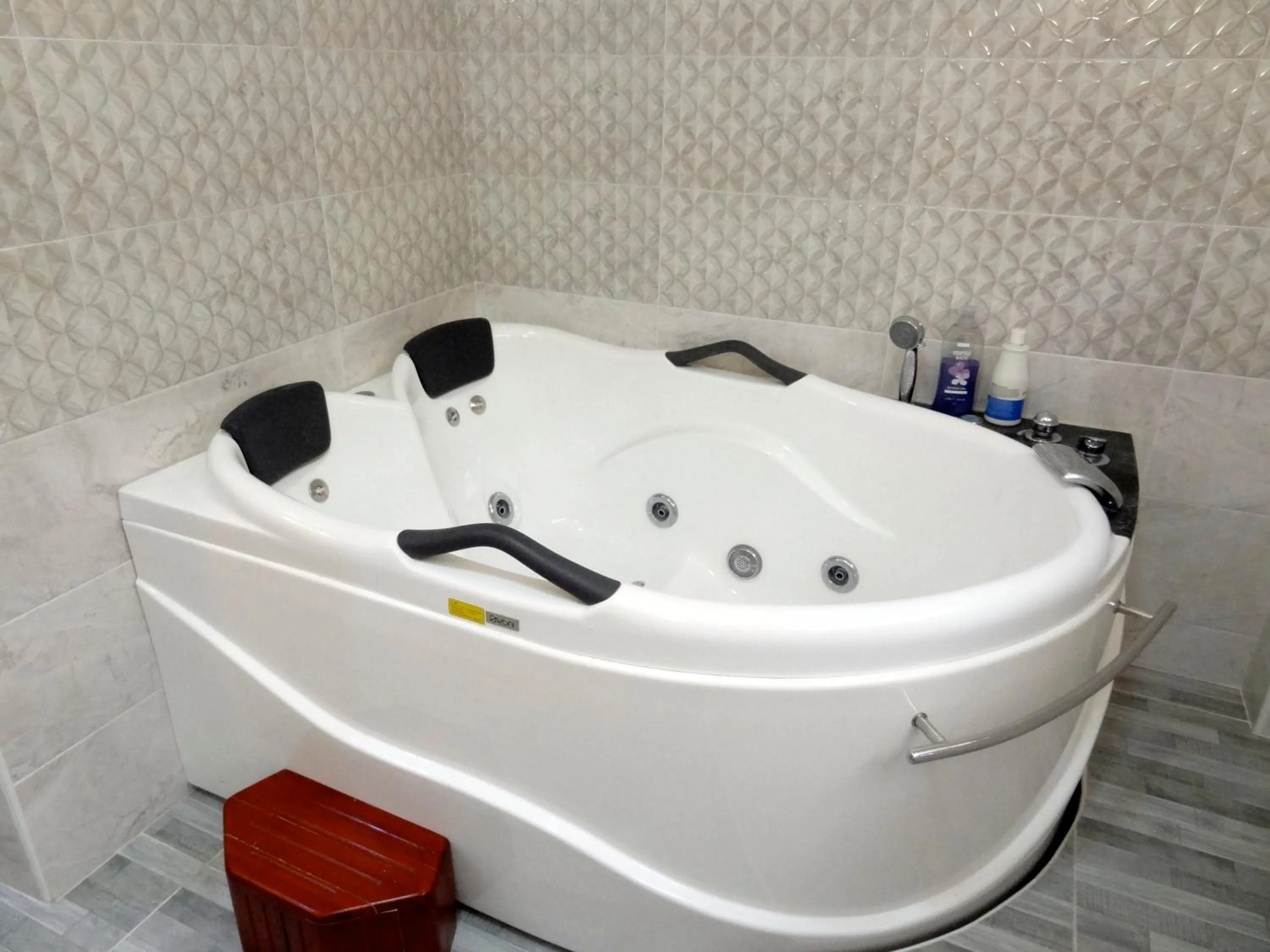 Area and facilities in The Executive Villa Inn & Suites