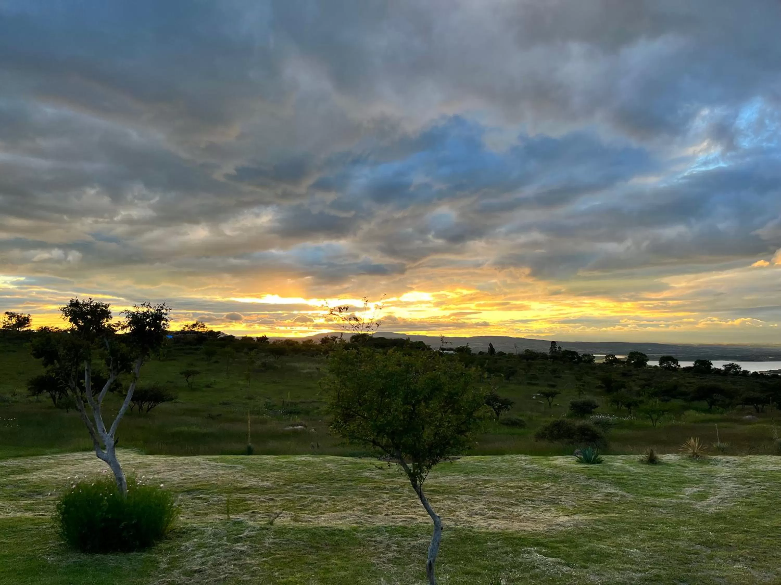 Garden in Casa Terra SMA