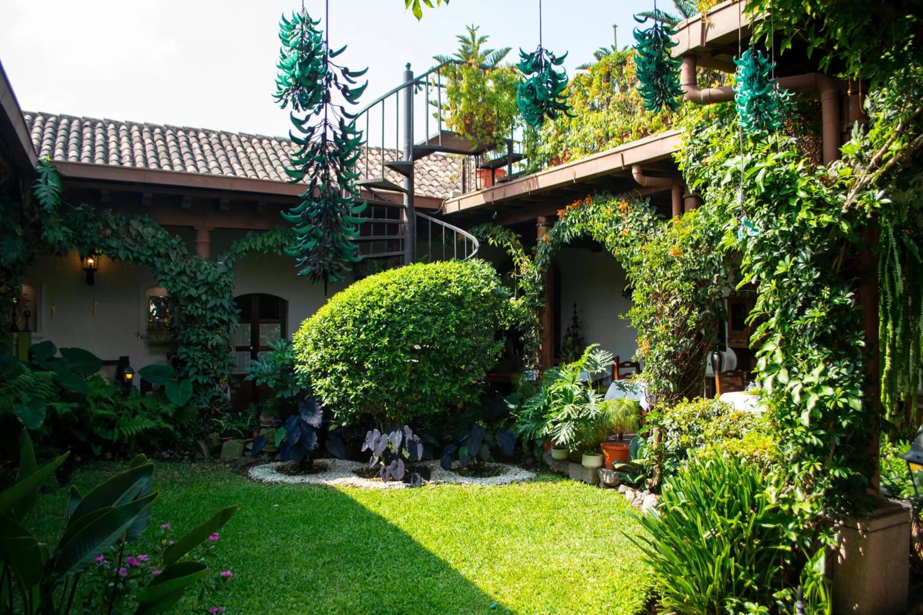 Patio in Hotel La Catedral