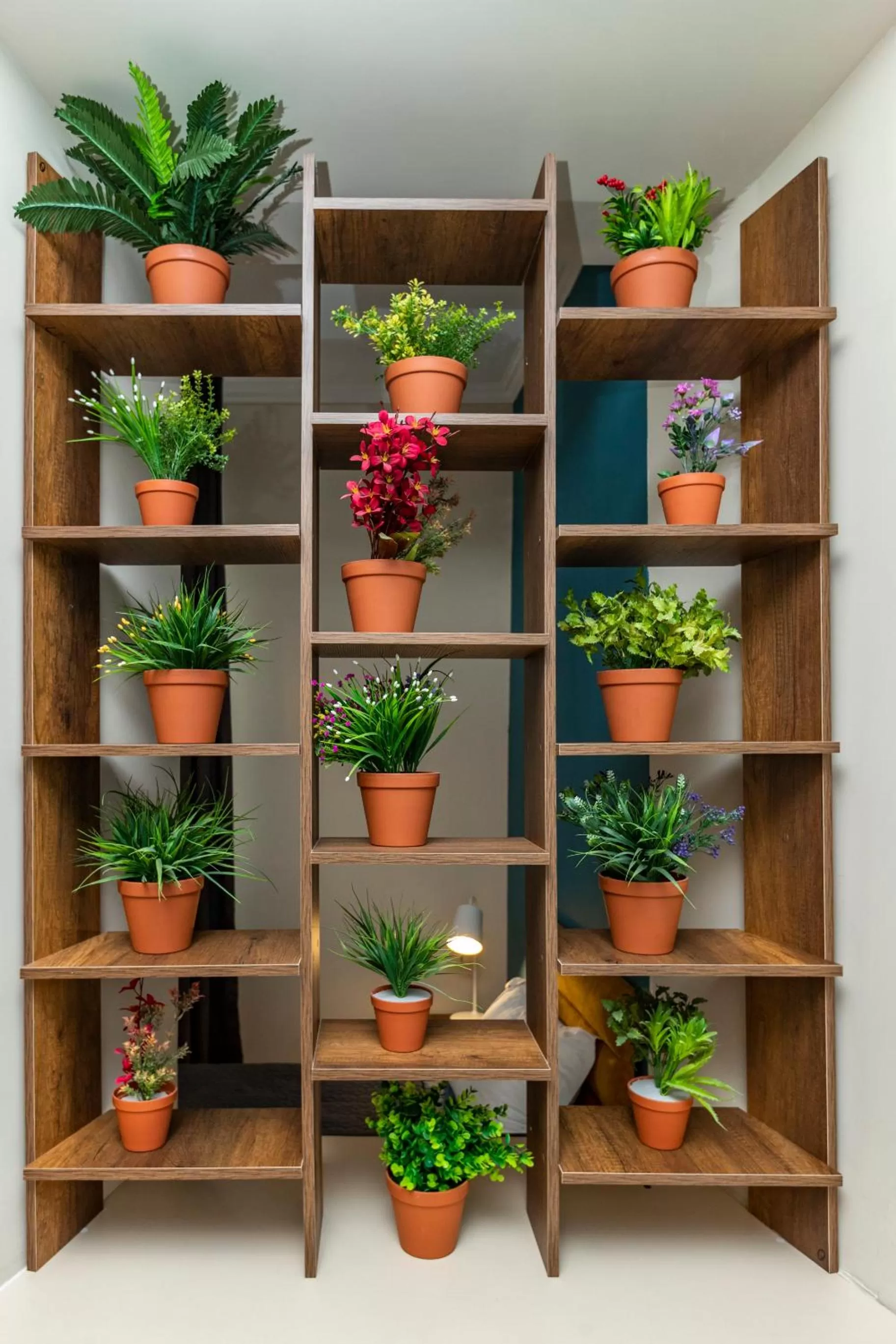 Property building in Hotello