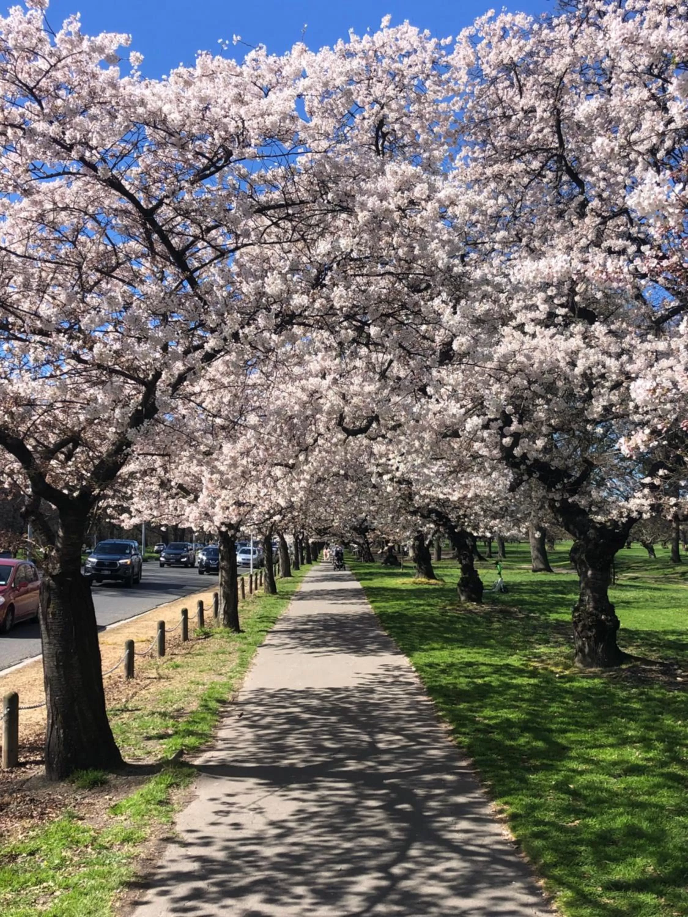 Nearby landmark in Chateau On The Park - Christchurch, A Doubletree By Hilton