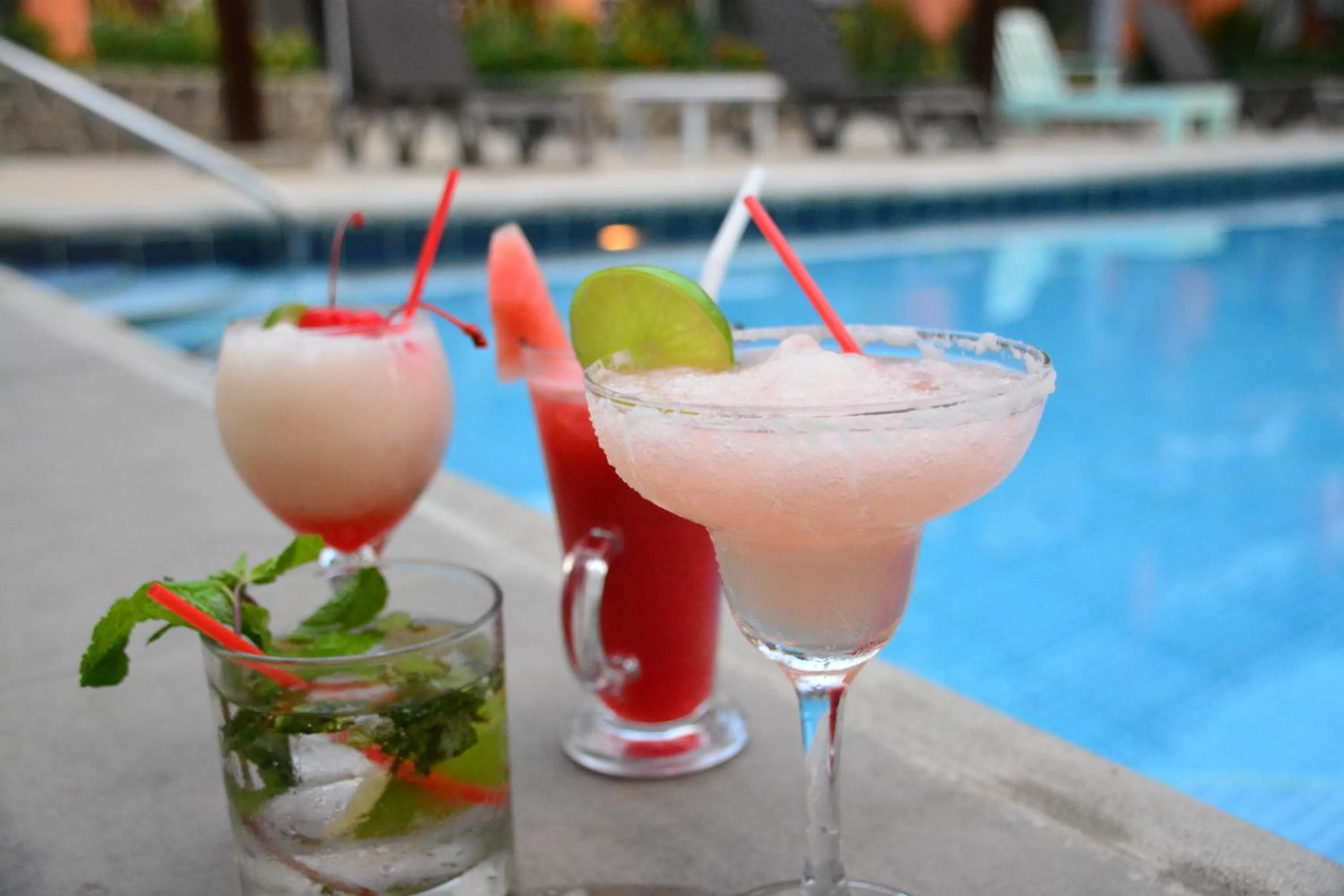 Lounge or bar in Hotel Europeo