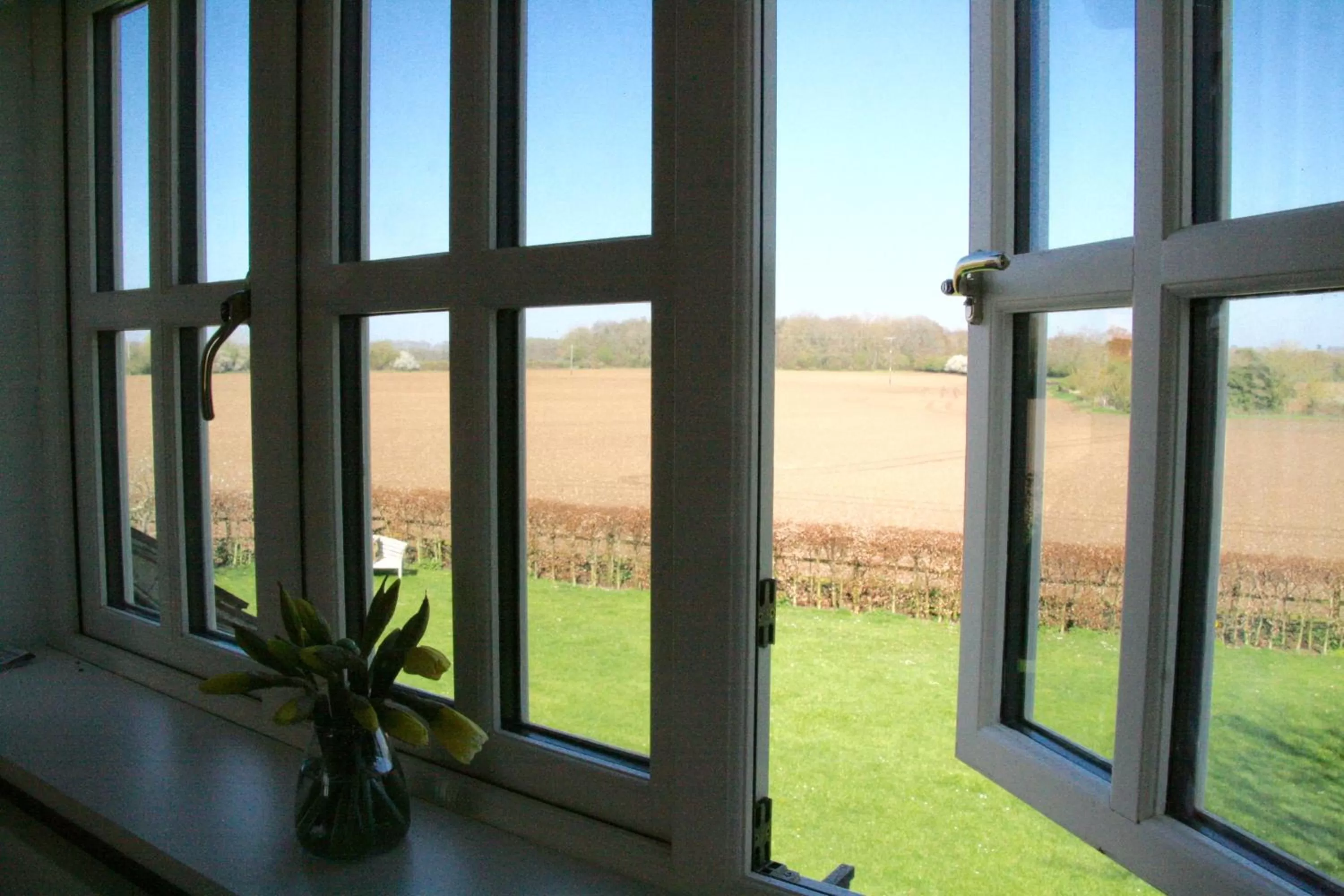 Garden view in Thatched Cottage