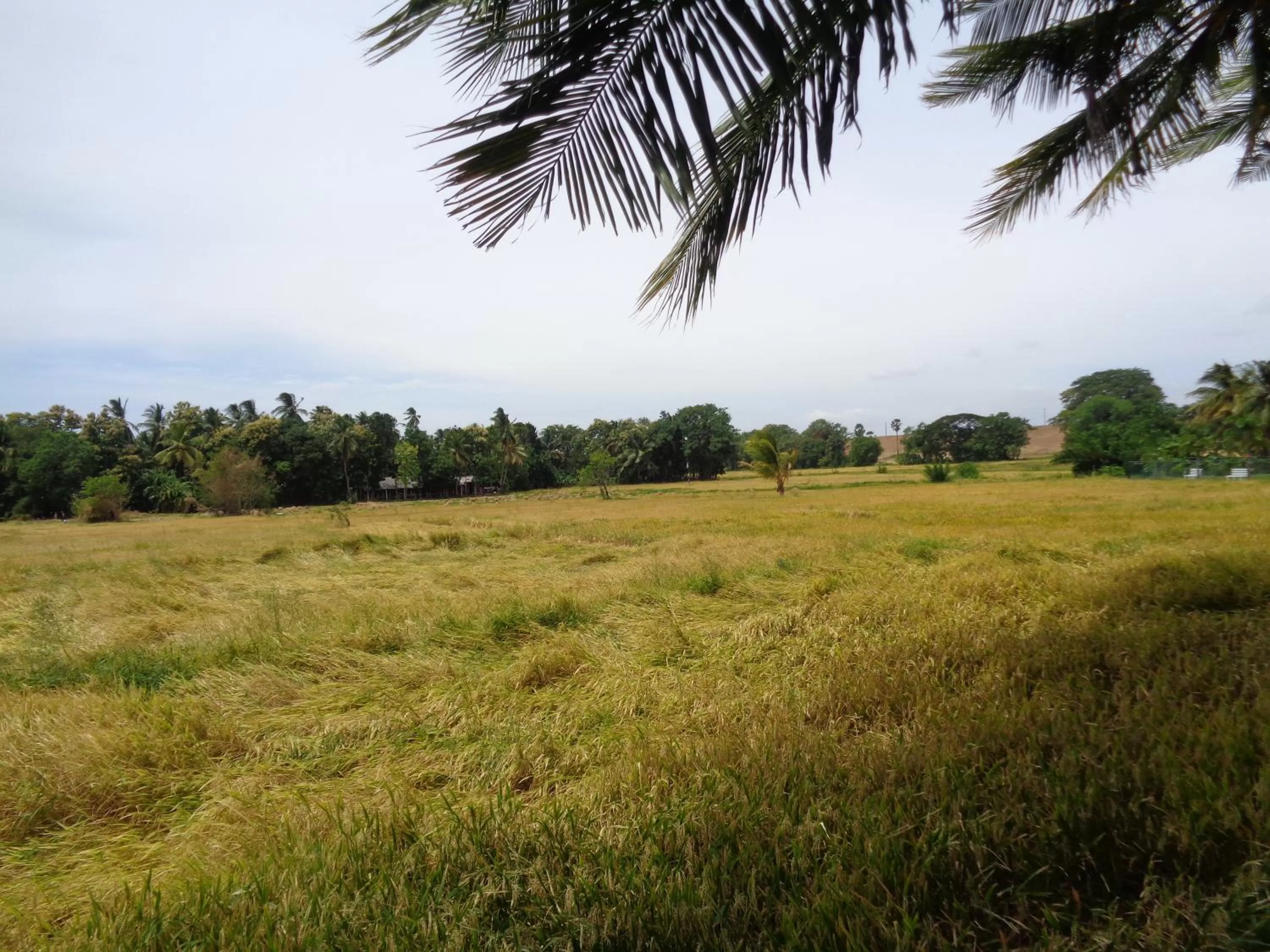 Property building in Canal Side Guest House Polonnaruwa