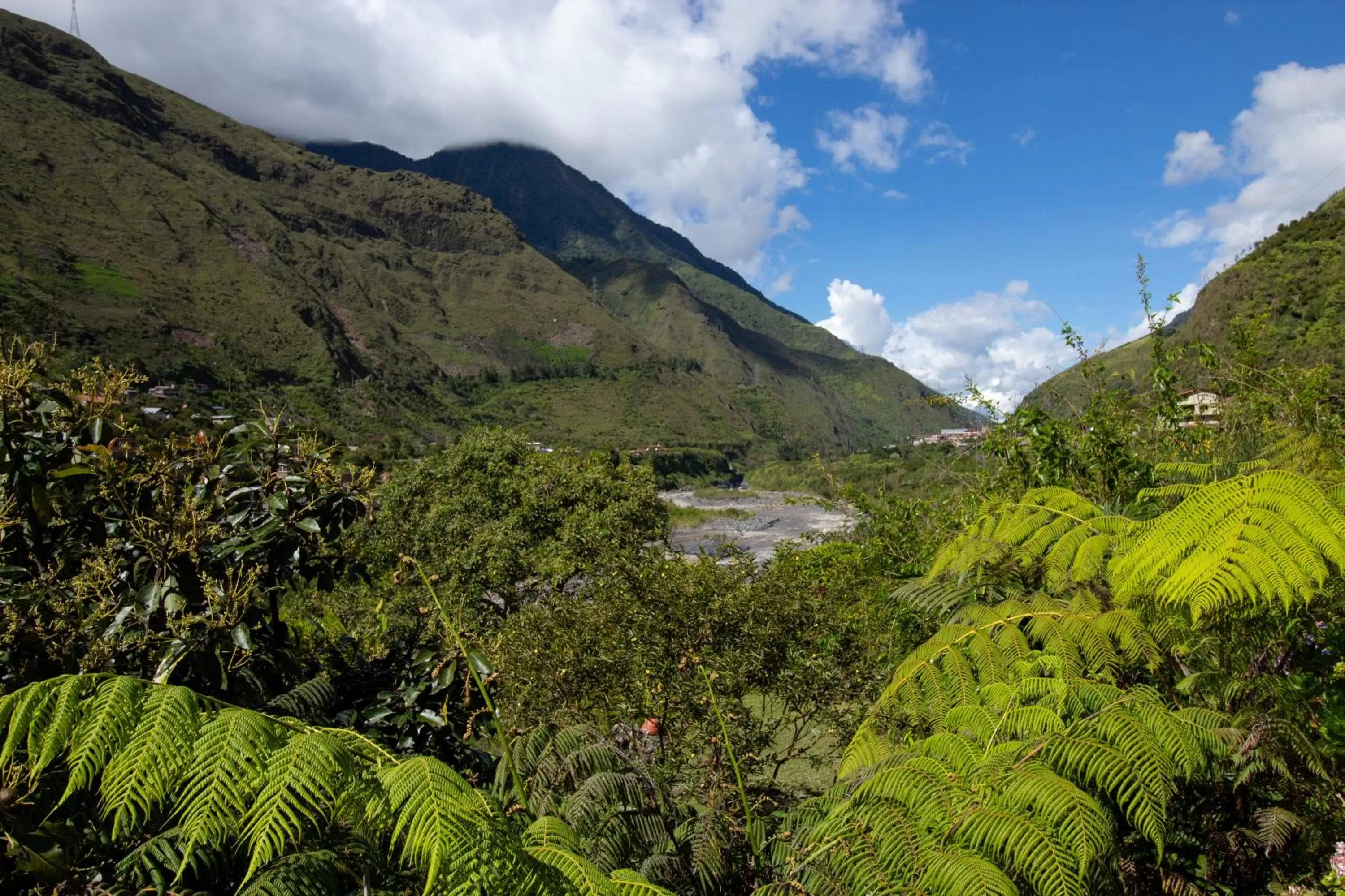 Natural landscape in Aldea Real Eco Friendly
