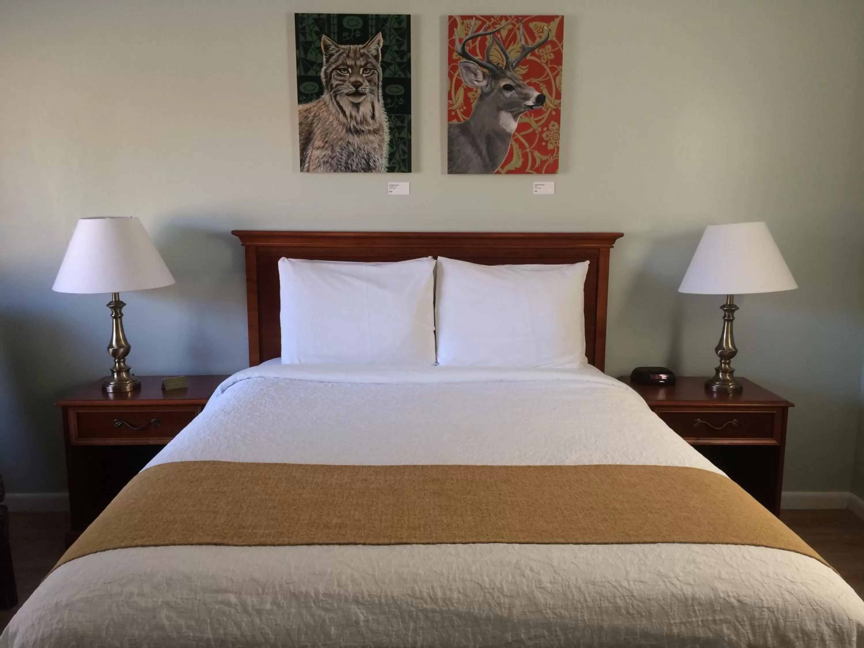 Bed in Harwood Hill Motel