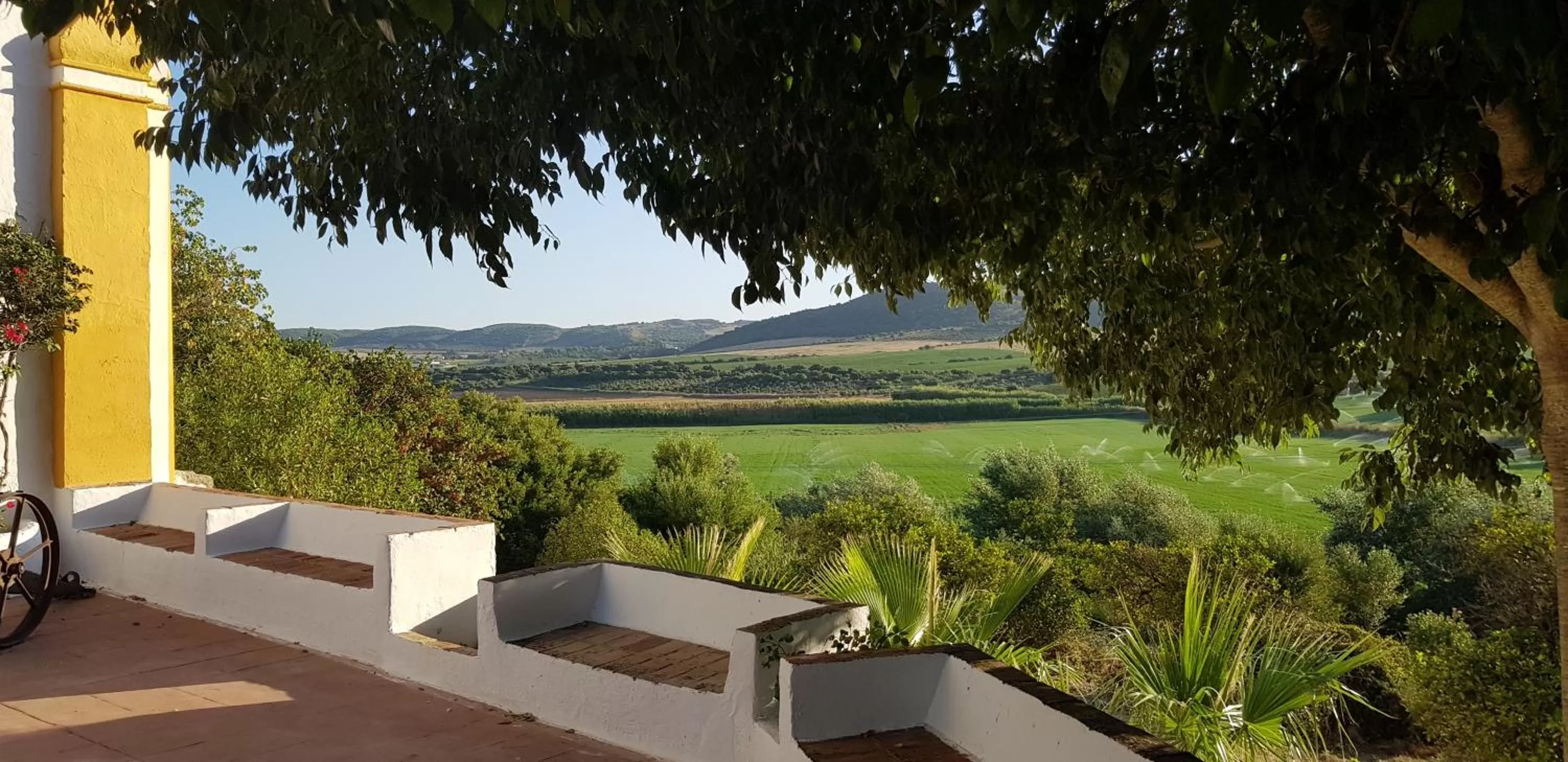 Garden in Hacienda El Santiscal Adults Only