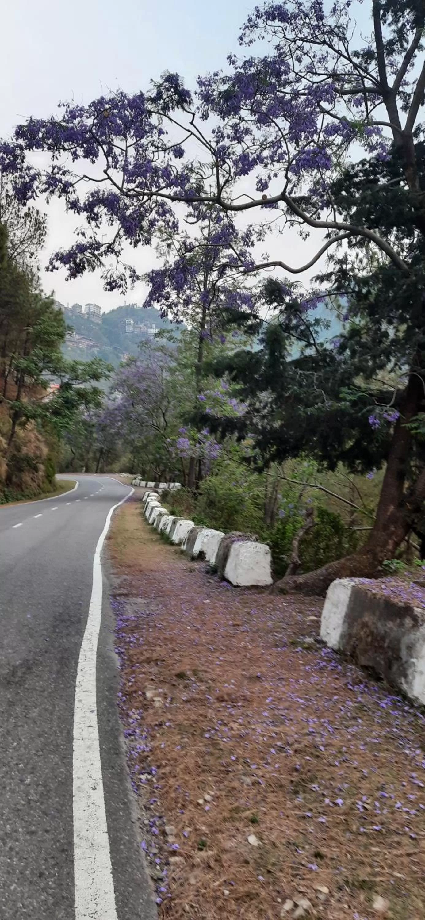 Cycling in Hotel The Paal