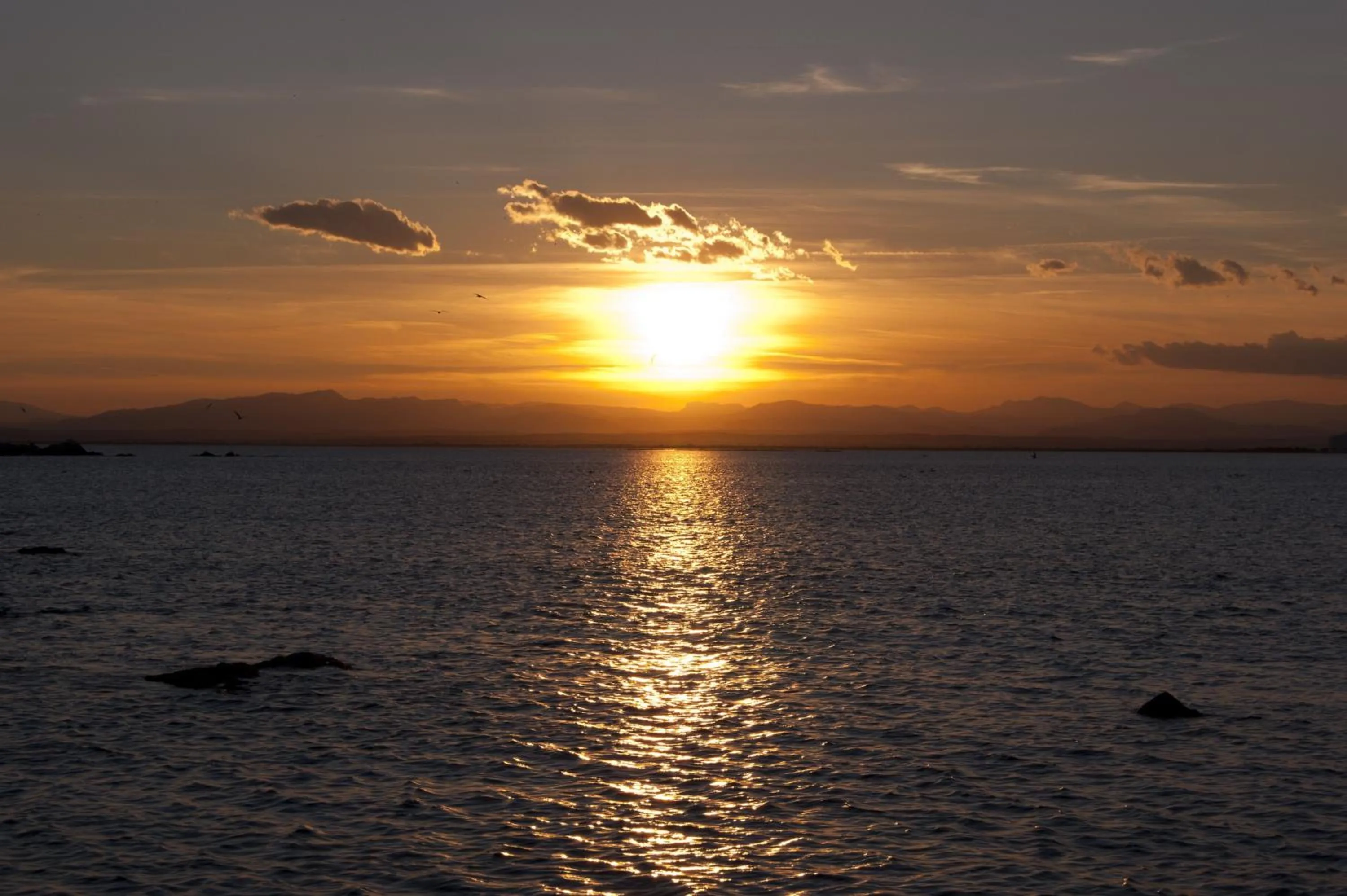 Area and facilities in Canyelles Platja