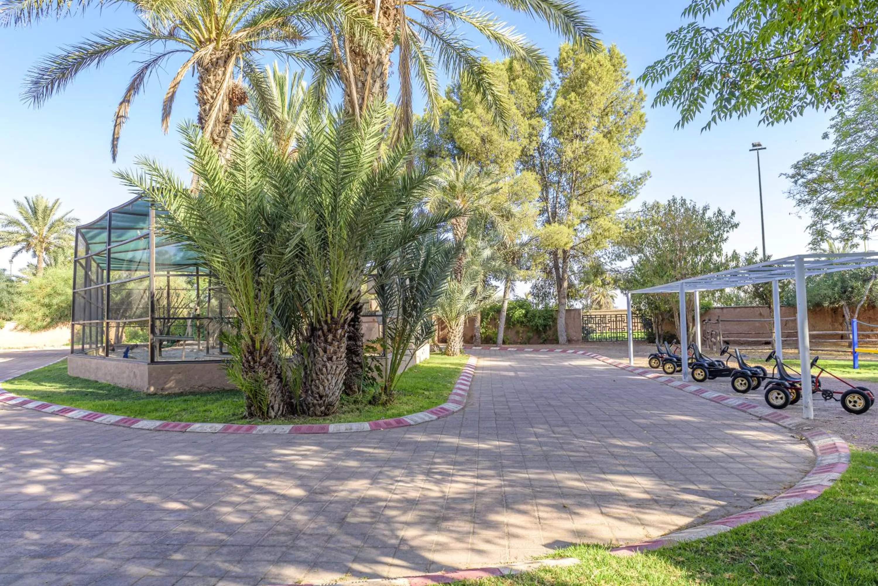 Activities in Barceló Palmeraie Oasis Resort