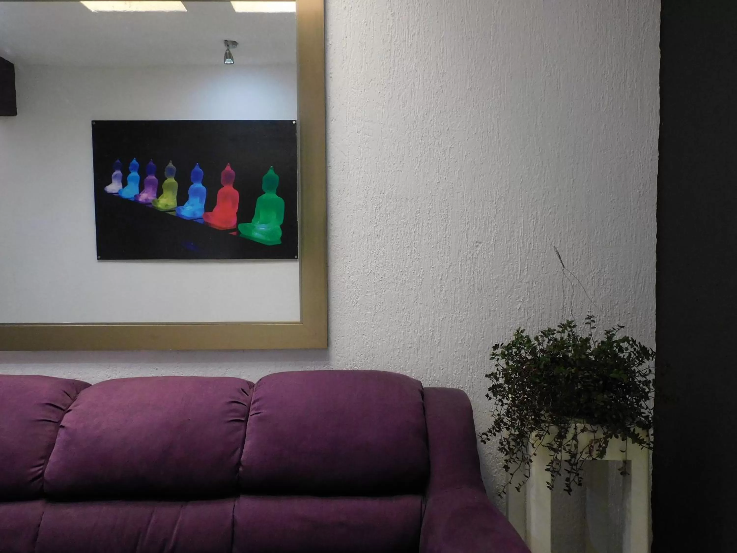 Seating Area in Zyan Rooms