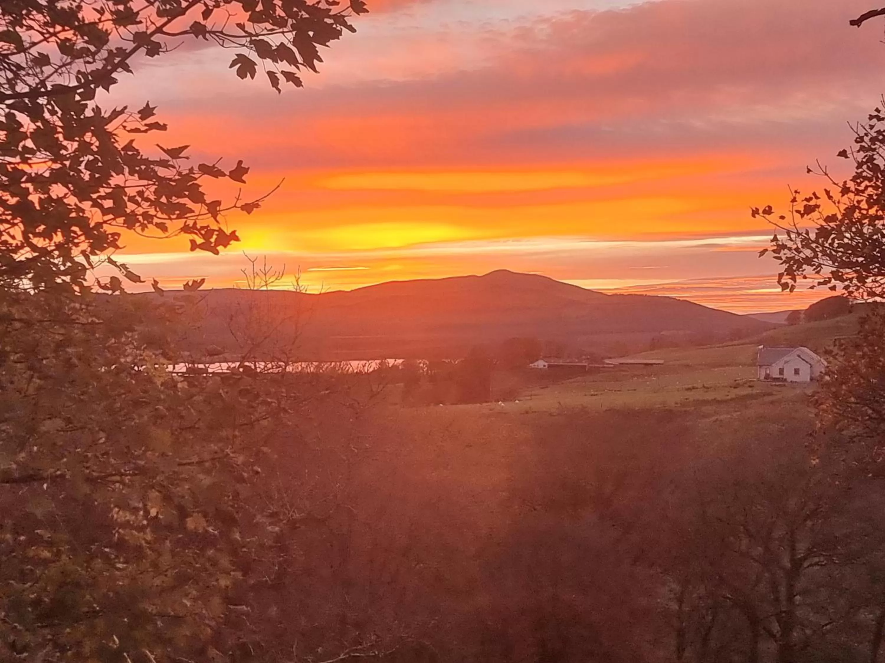 Sunset in B&B Drum Farm