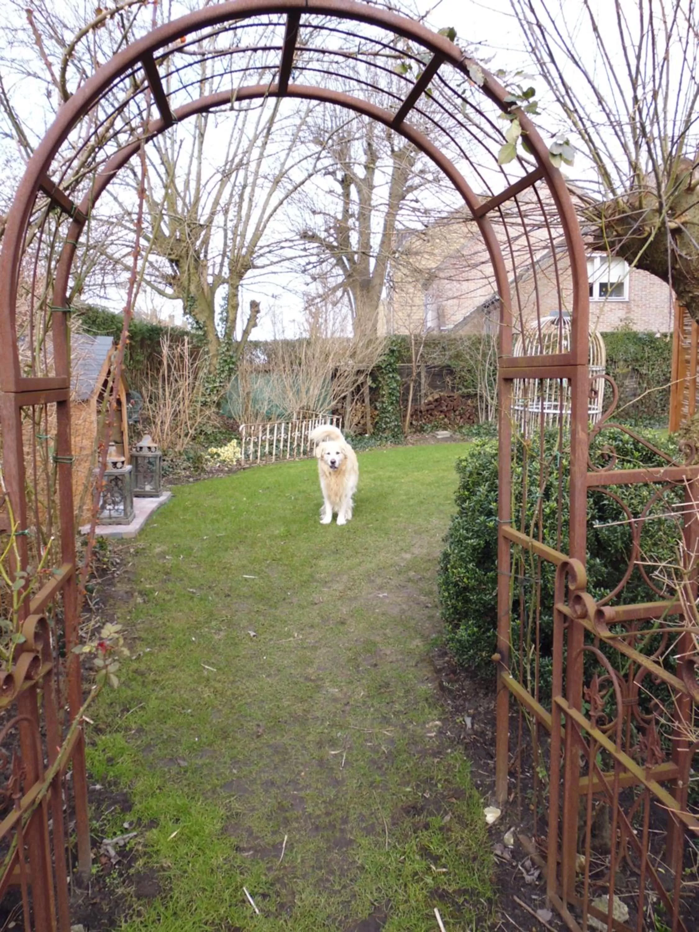 Garden in B&B De Vijf Zuilen