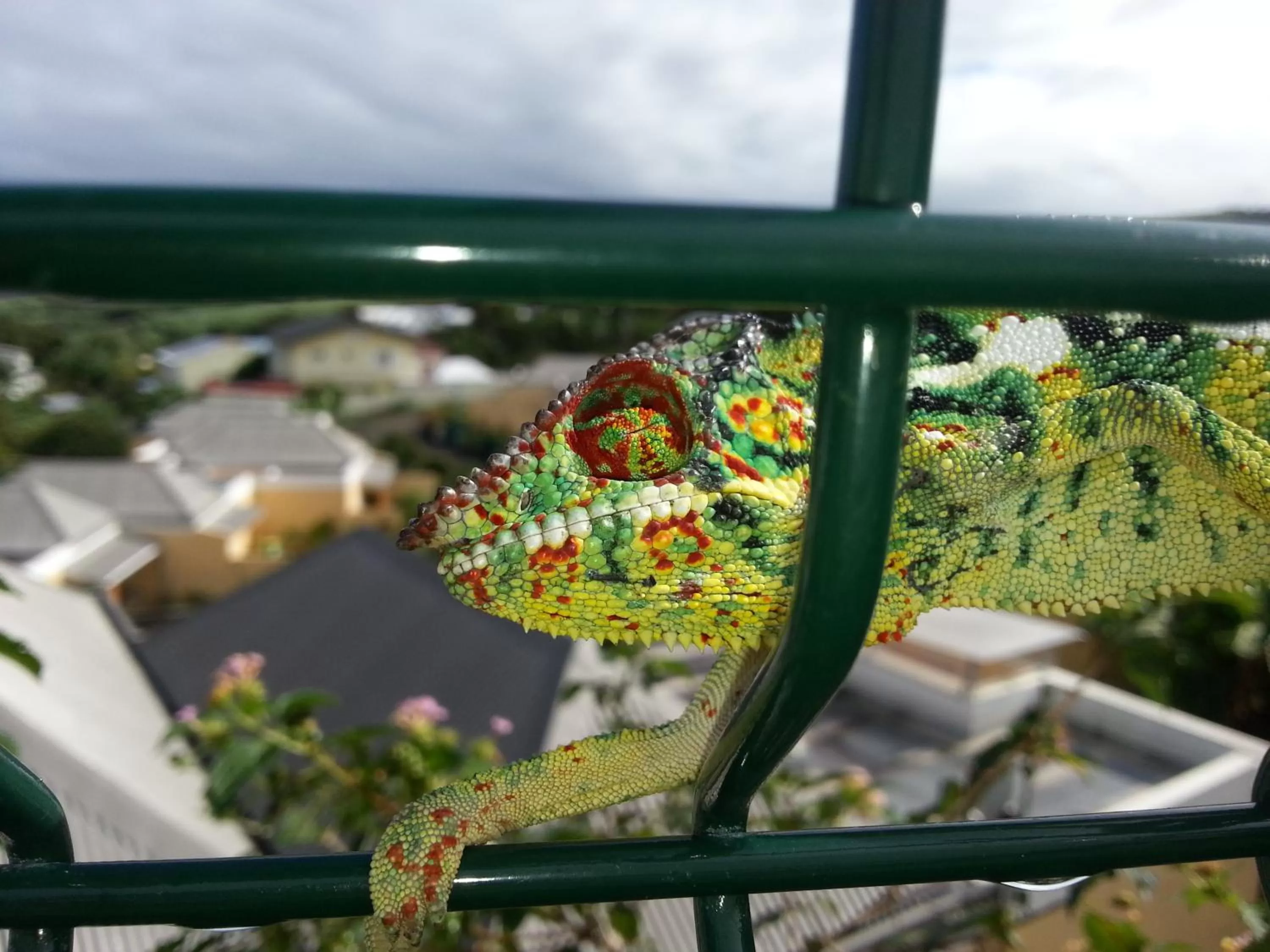 Other in Hôtel Le Soleil Couchant