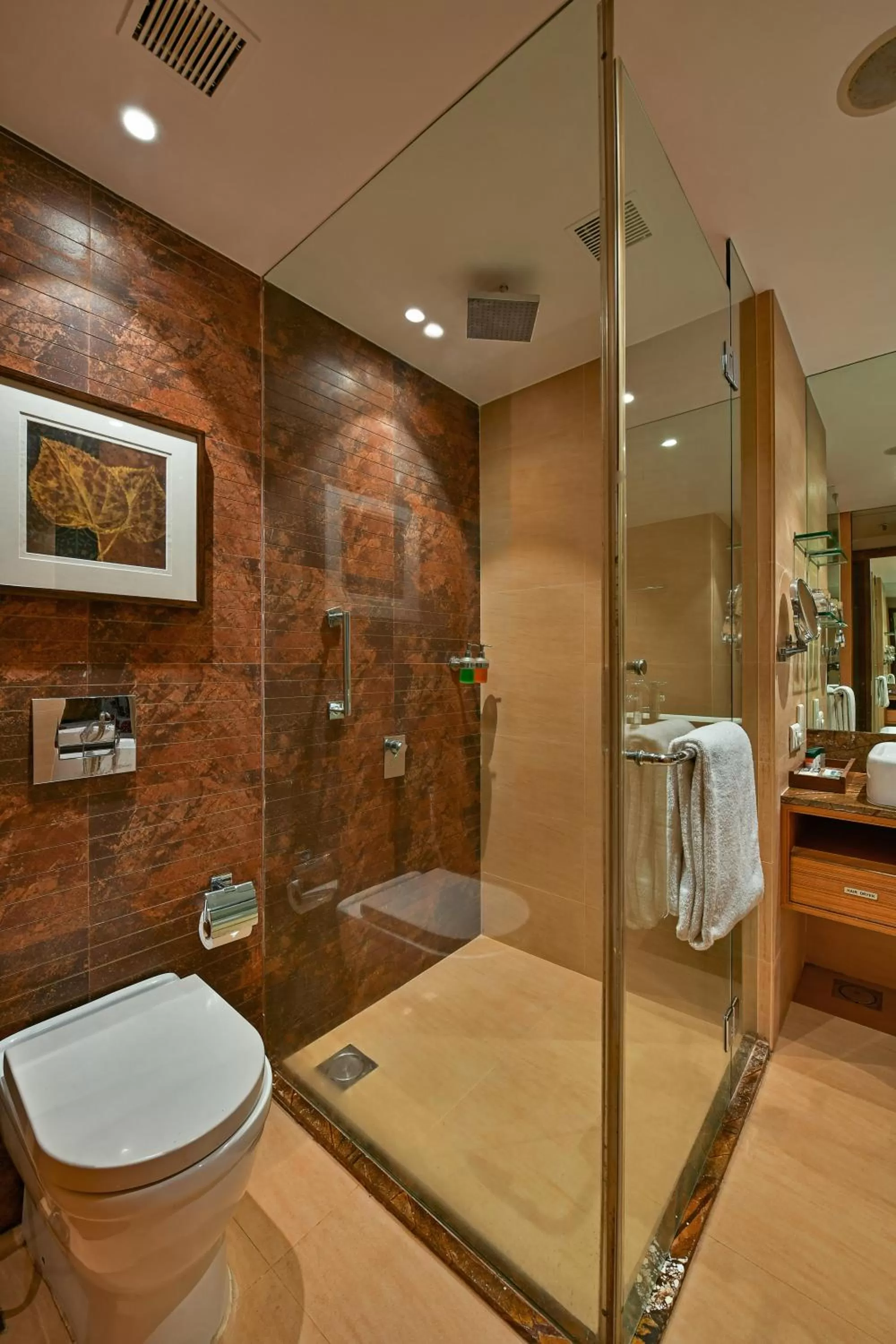 Bathroom in Fariyas Resort Lonavala