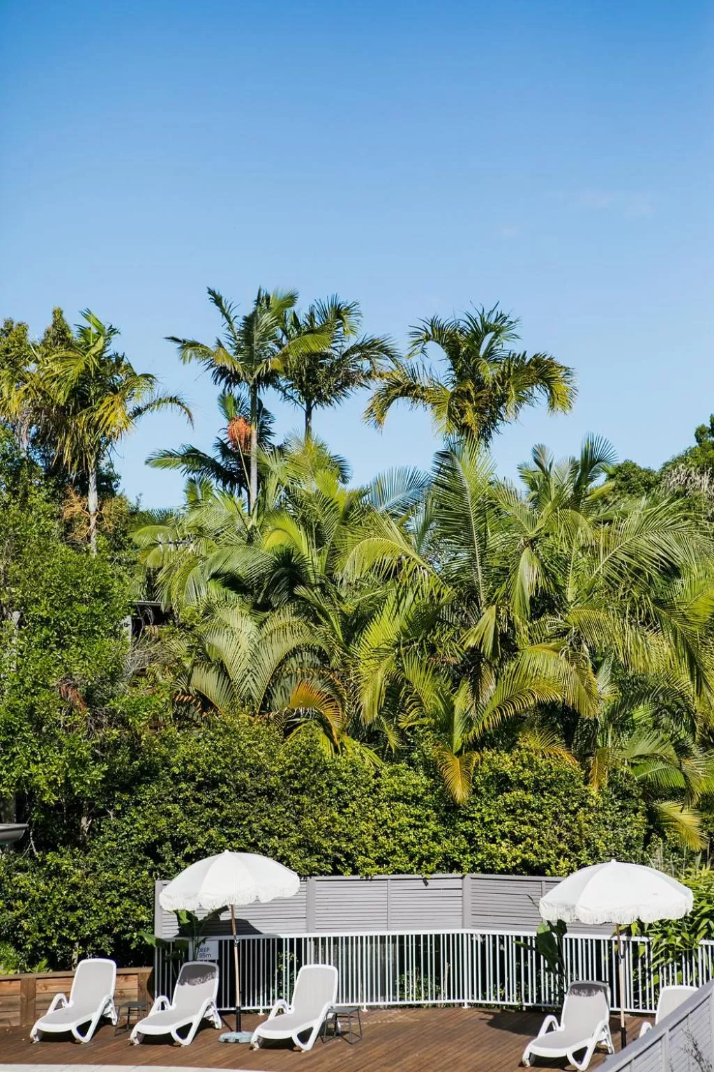 Natural landscape in Noosa Heads Motel