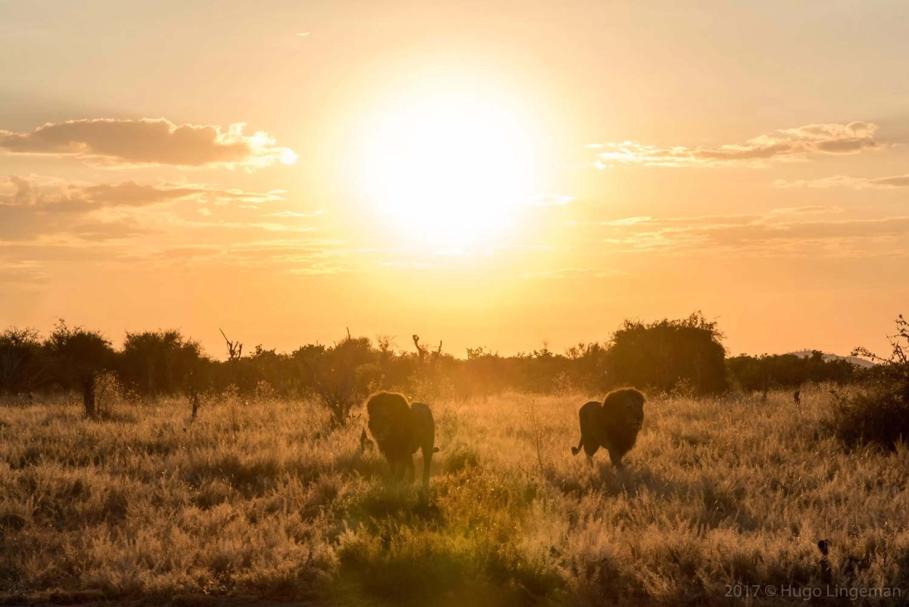 Nearby landmark in Okavango Lodge