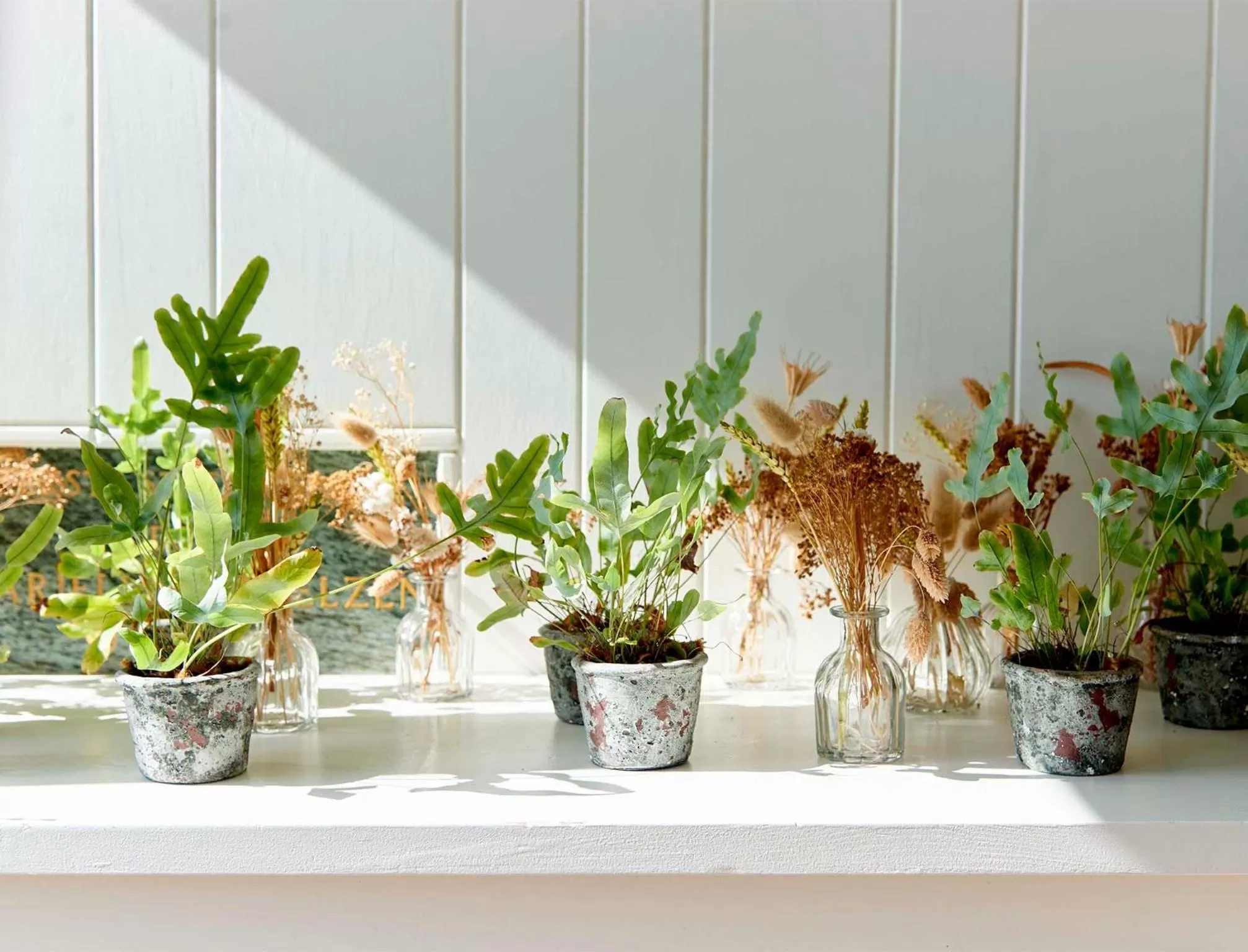 Facade/entrance in Hotel Zonne