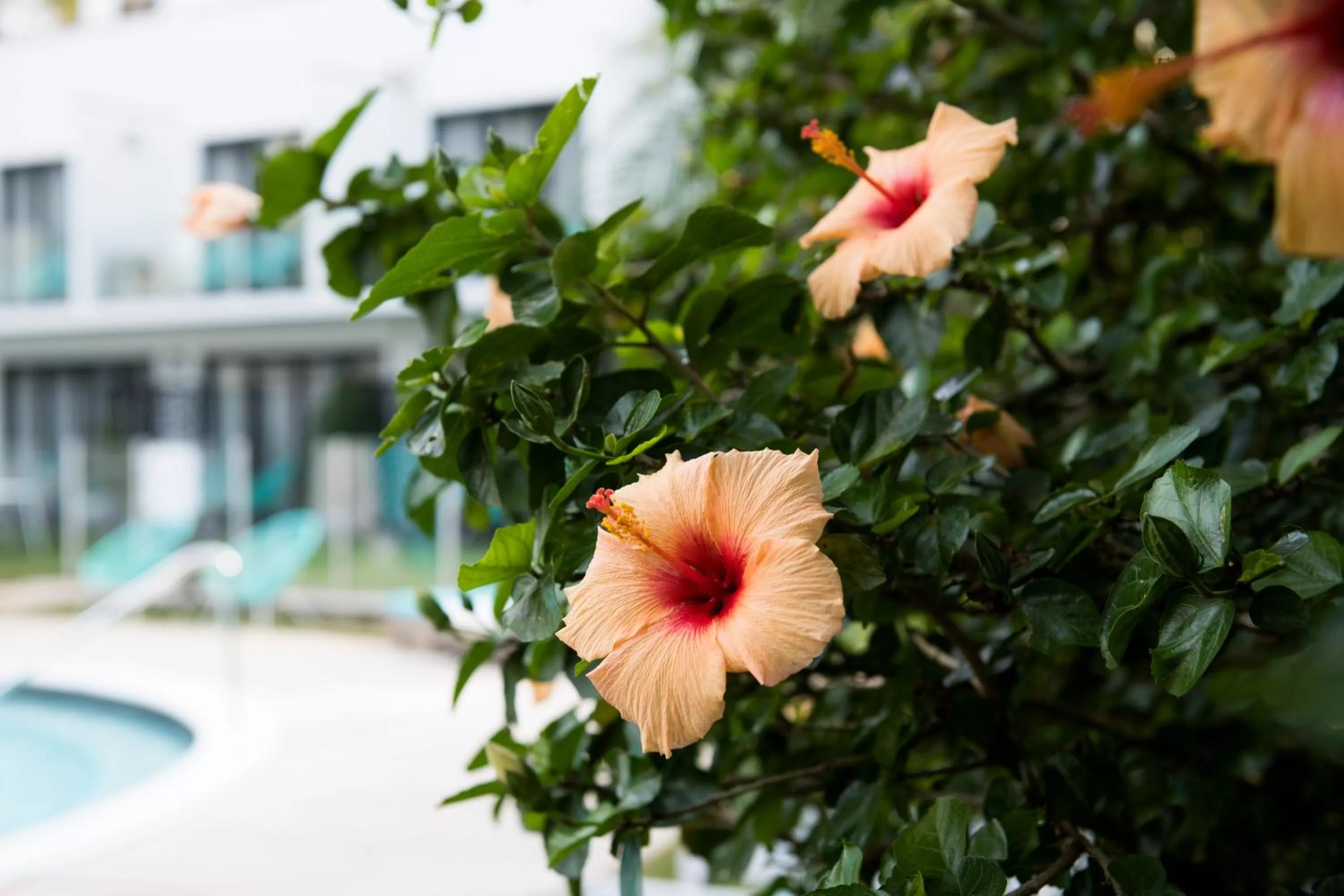 Natural landscape in Terrigal Pacific Coastal Retreat