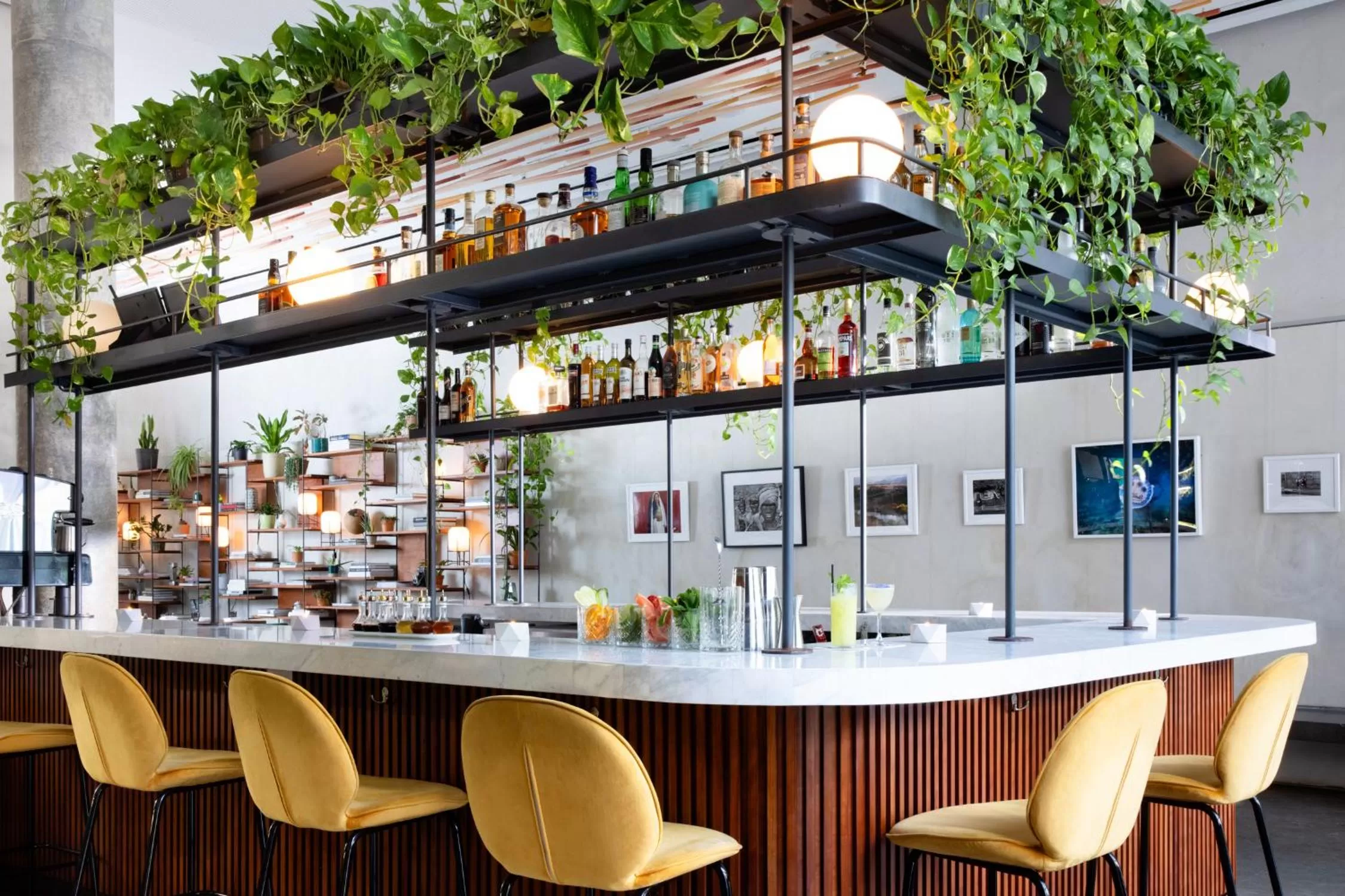 Restaurant/places to eat in Selina Chelsea