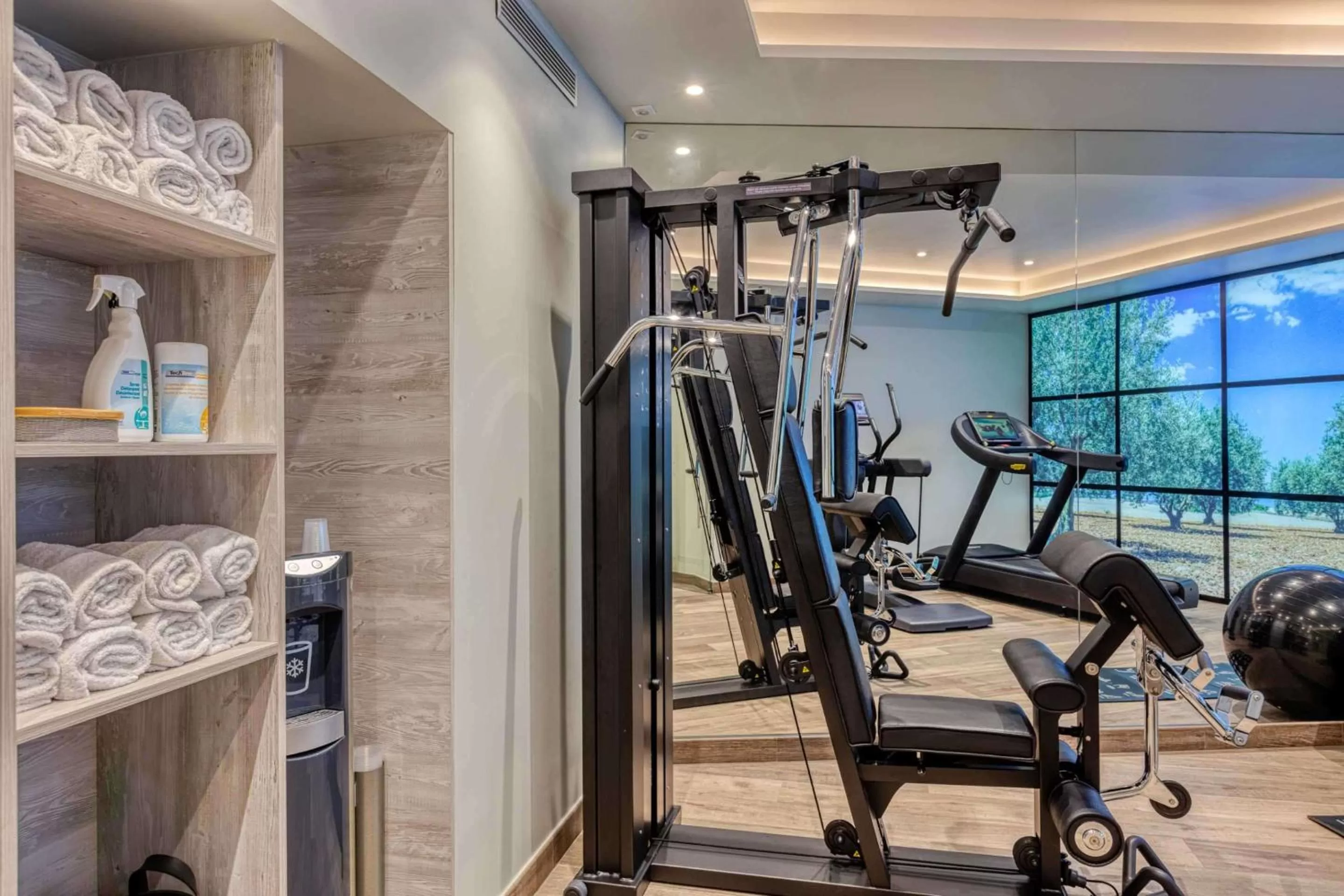 Fitness centre/facilities in Best Western Plus Le Lavarin