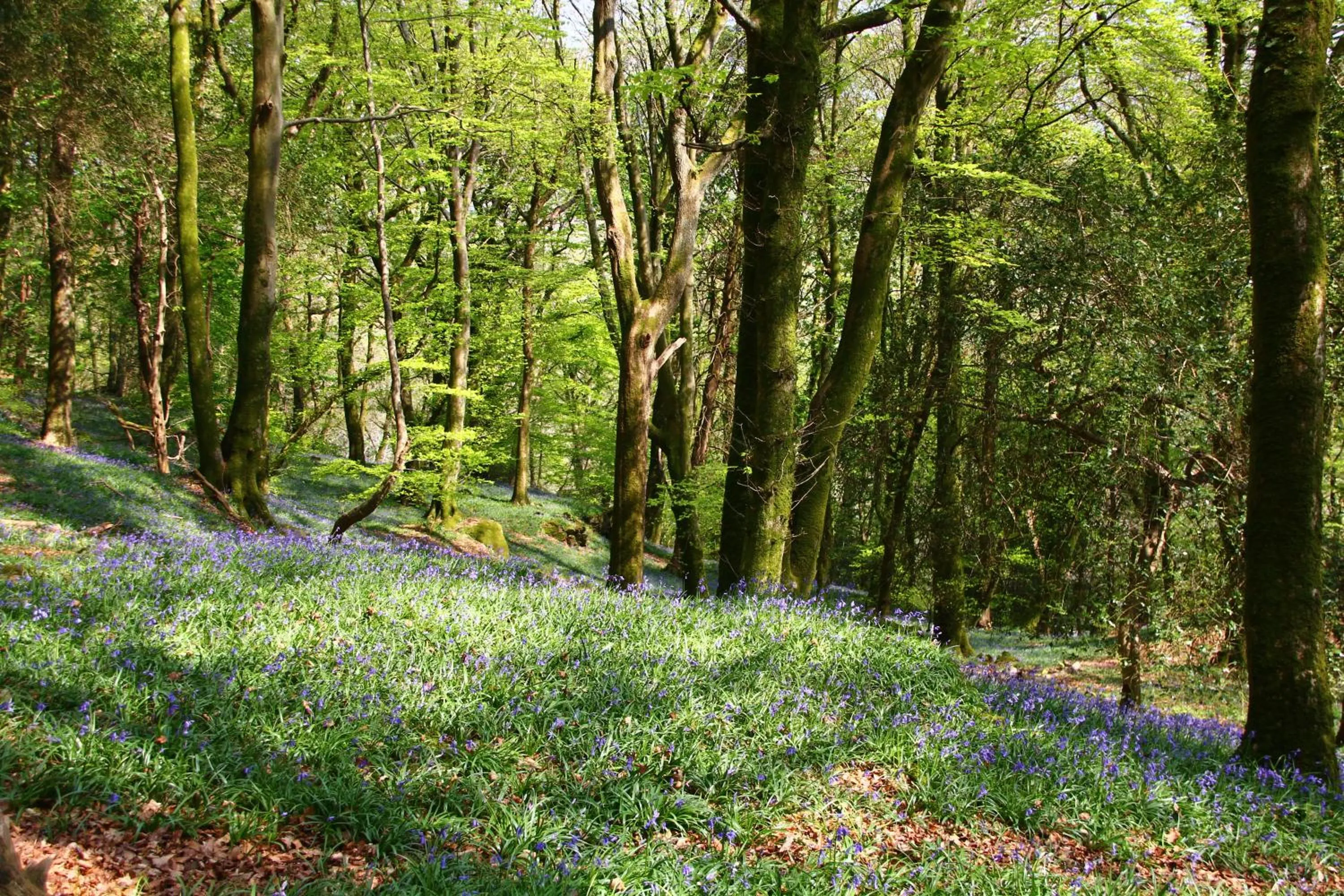 Area and facilities in Aberdunant Hall